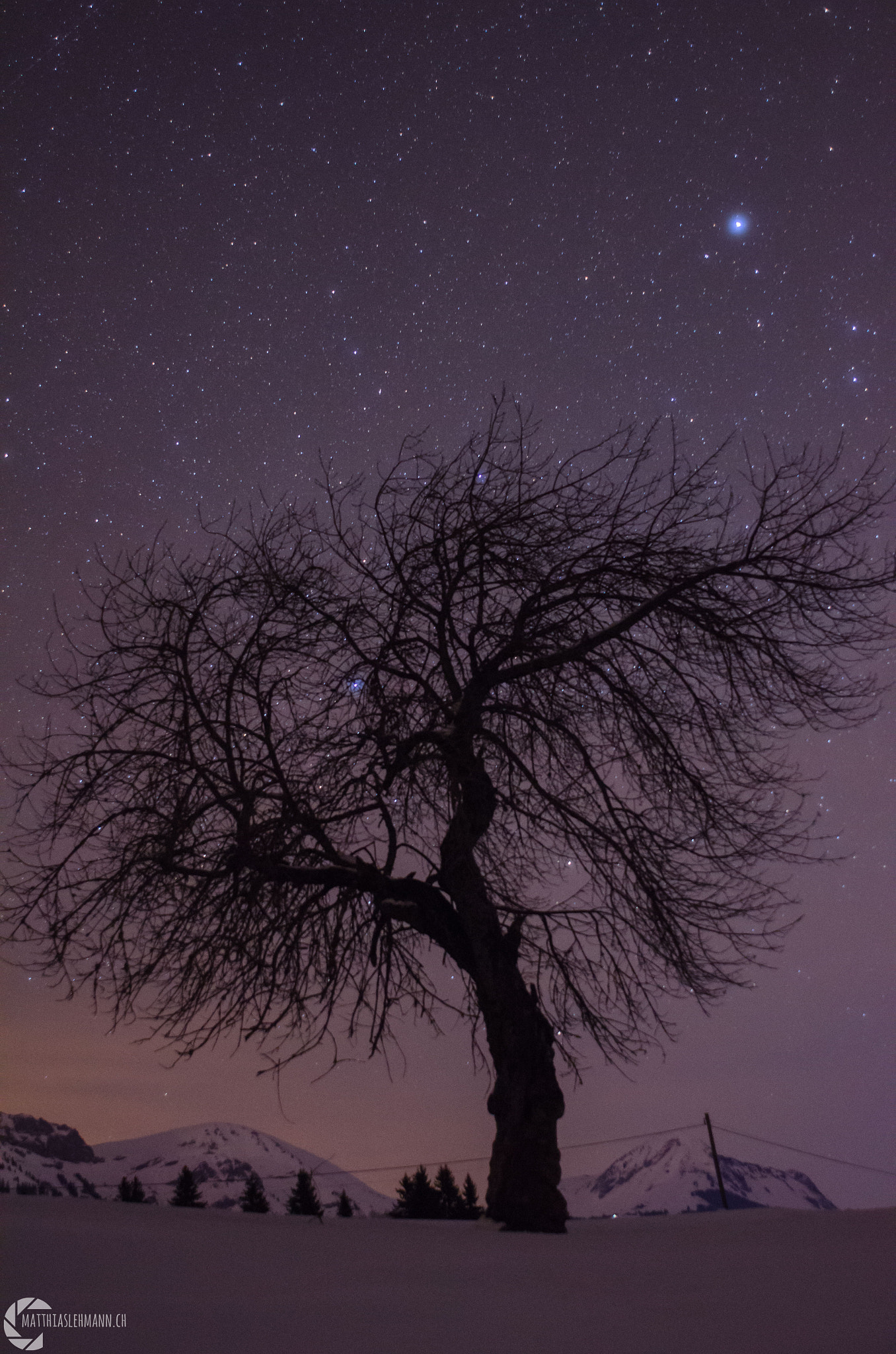 Nikon D7000 + AF Nikkor 24mm f/2.8 sample photo. Funky tree photography