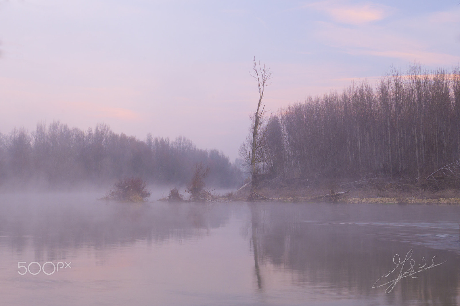 Panasonic Lumix DMC-GH3 sample photo. Fog in the river. niebla en el rio photography