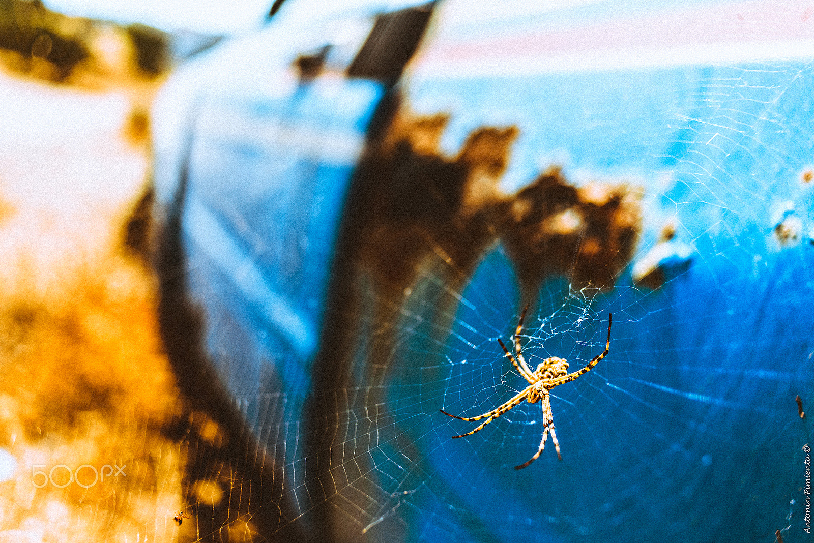 Nikon D610 + Nikon AF Nikkor 28mm F2.8D sample photo. Blue ruin photography