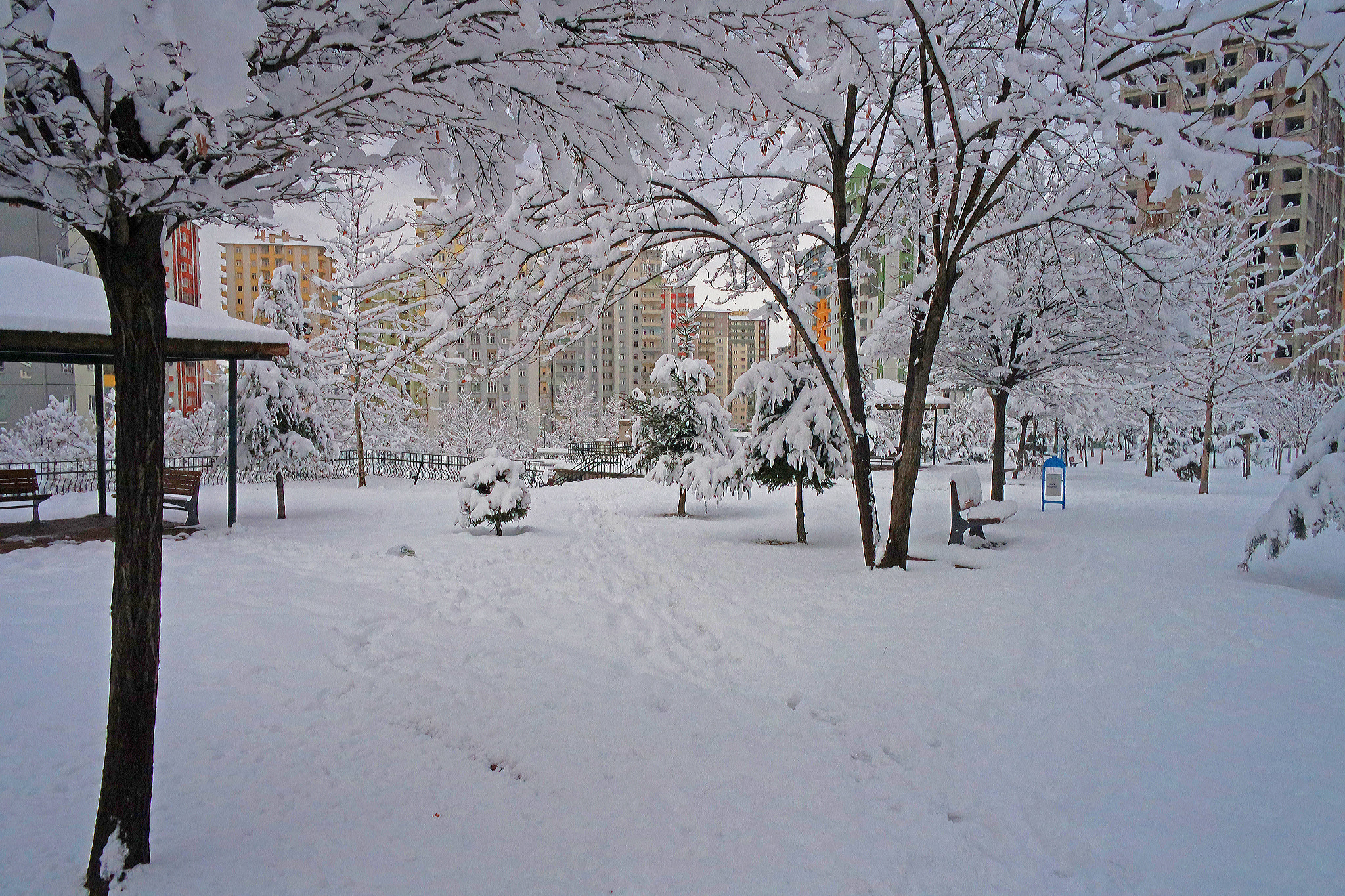 NX-M 9mm F3.5 sample photo. Winter photography