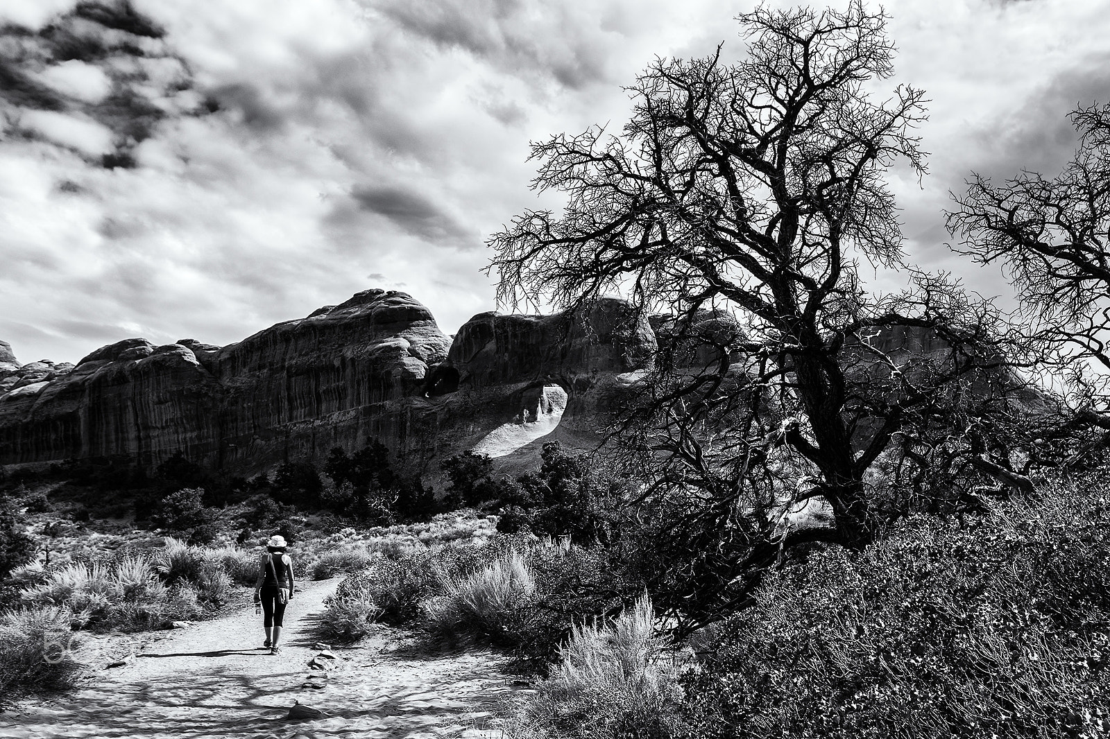 Samsung/Schneider D-XENON 12-24mm F4 ED AL [IF] sample photo. Arches national park trail photography