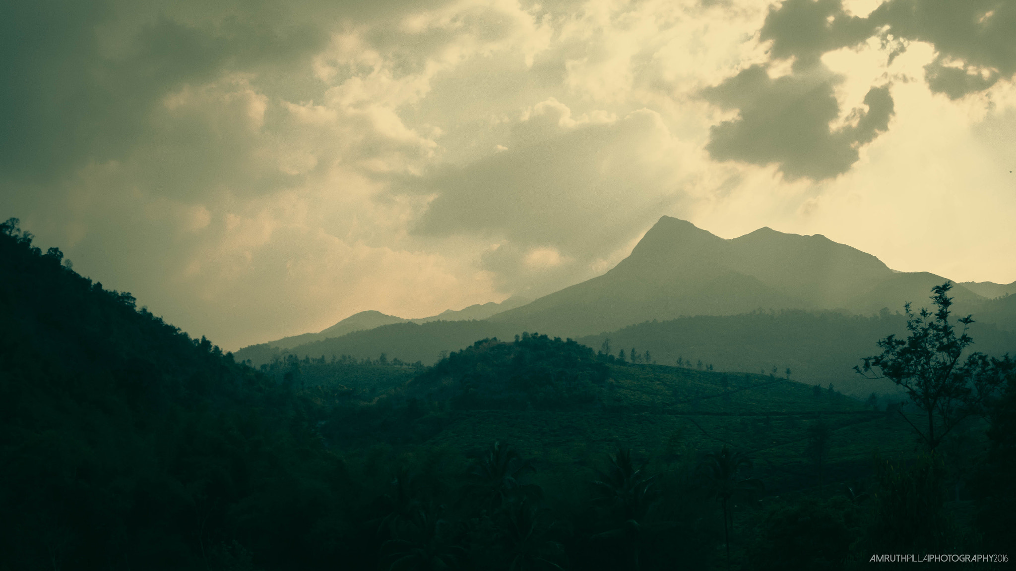 Canon EF 8-15mm F4L Fisheye USM sample photo. Chembra peak photography