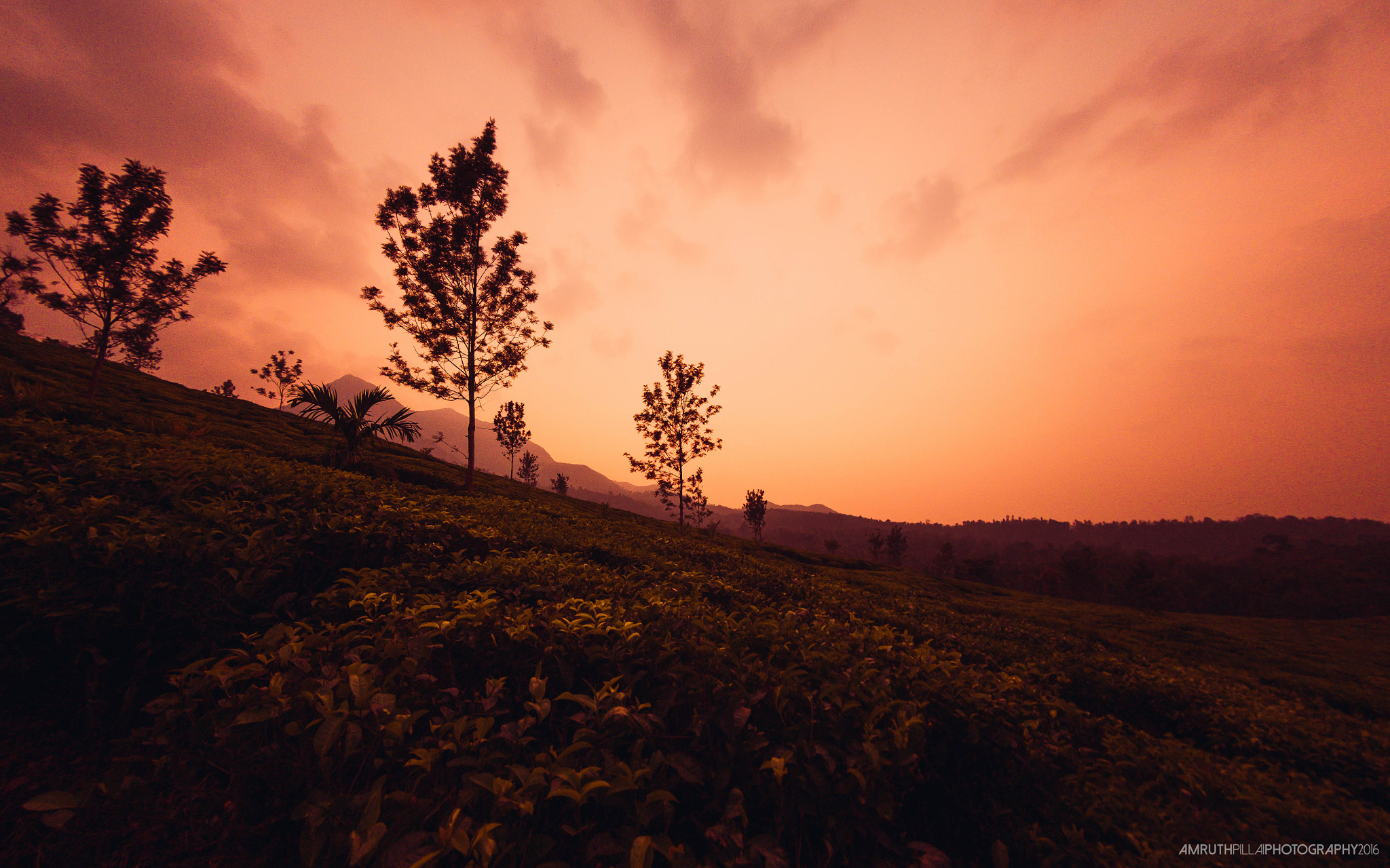 Canon EF 8-15mm F4L Fisheye USM sample photo. Fiery skies of kerala photography