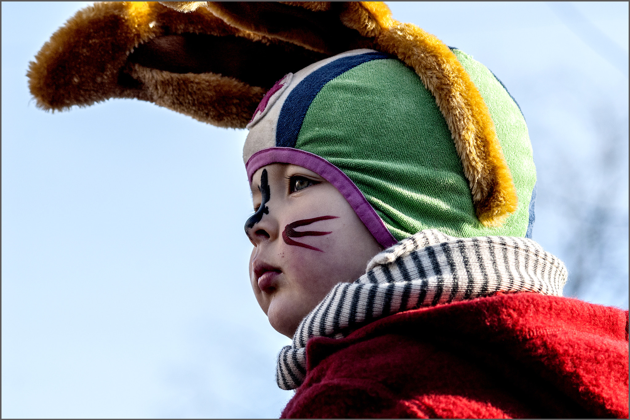 AF Nikkor 70-210mm f/4-5.6 sample photo. Jfaschingpg photography
