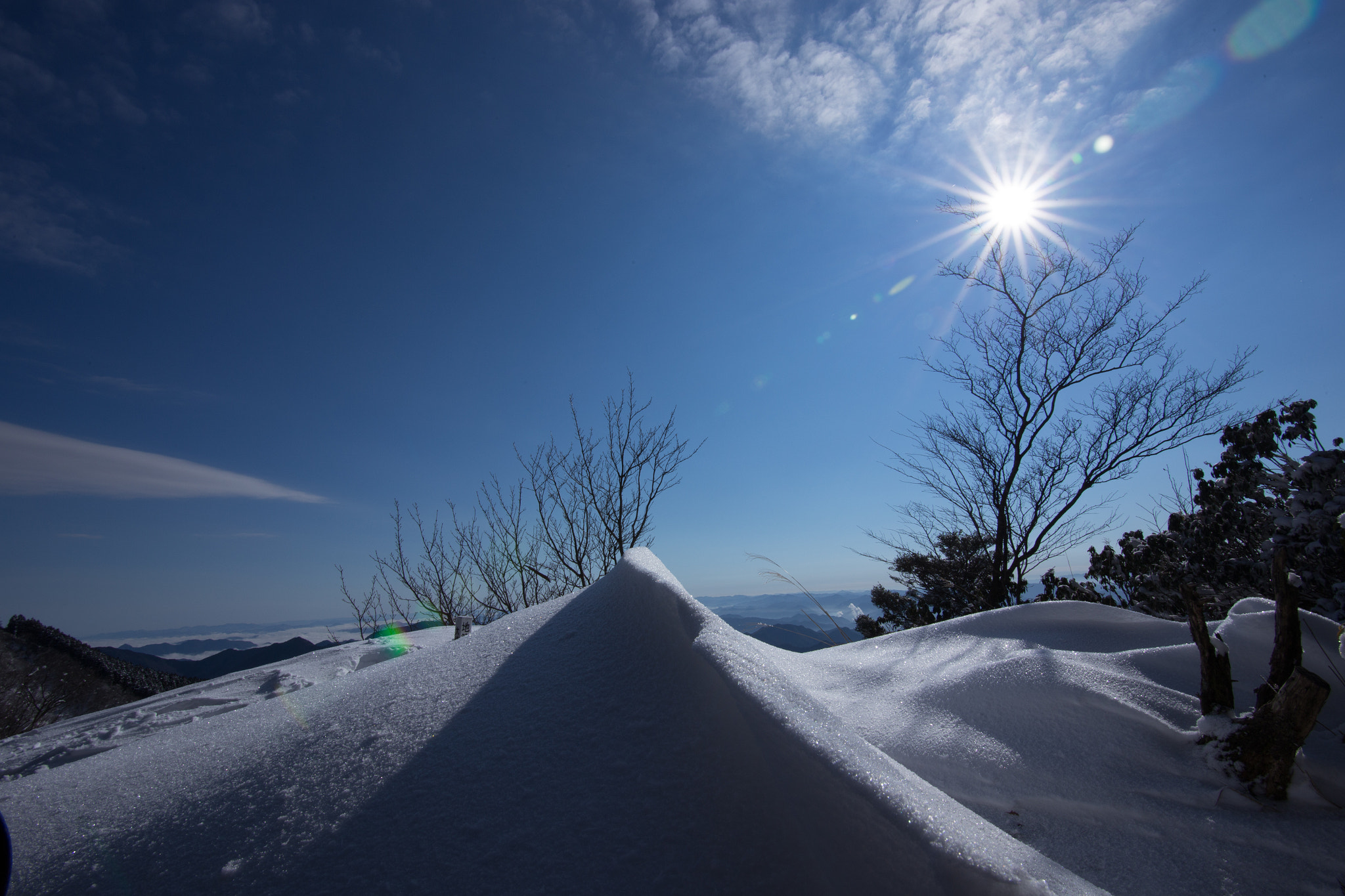 Canon EF-S 17-85mm F4-5.6 IS USM sample photo. 20160208 photography
