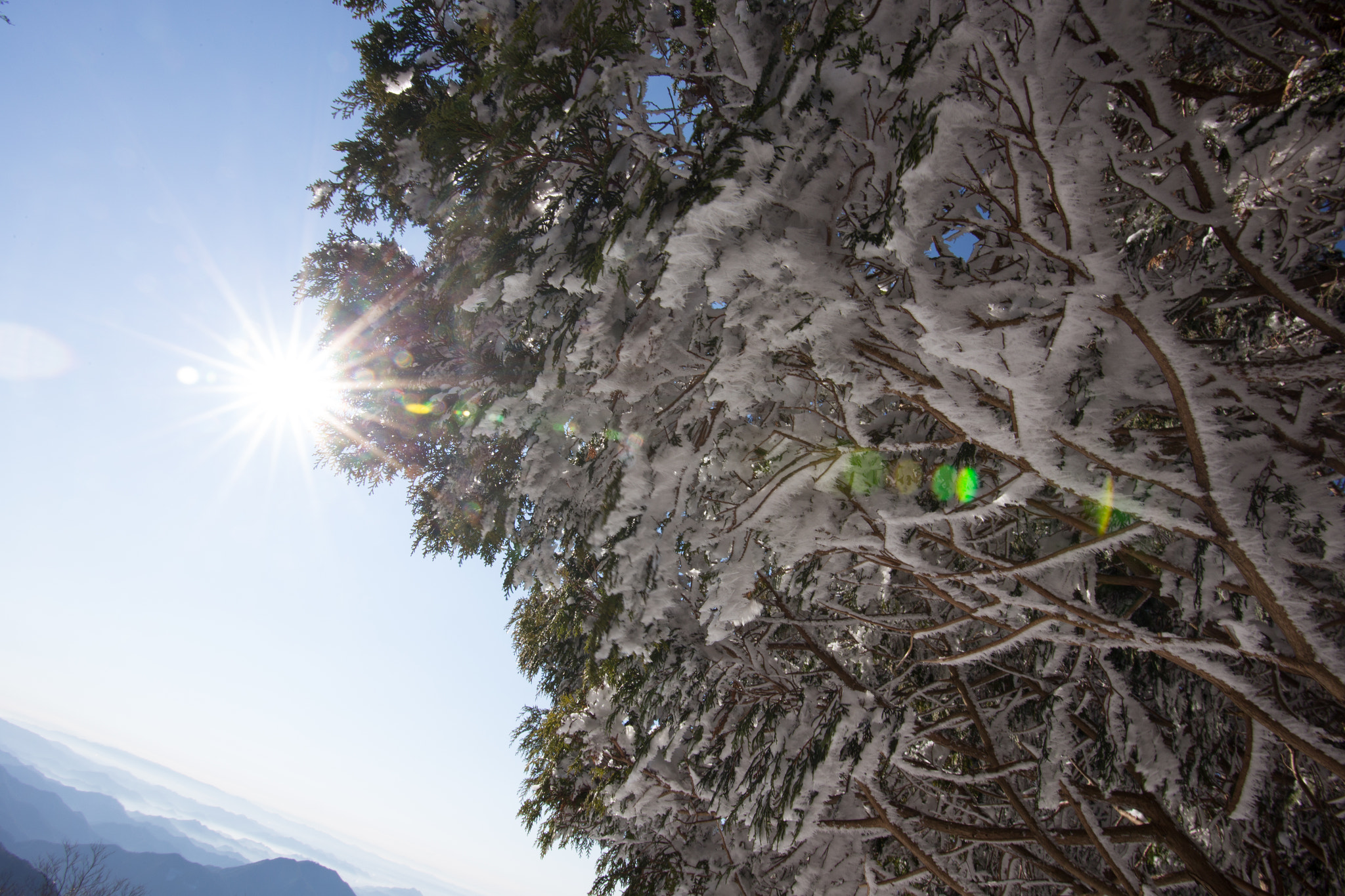 Canon EF-S 17-85mm F4-5.6 IS USM sample photo. 20160208 photography