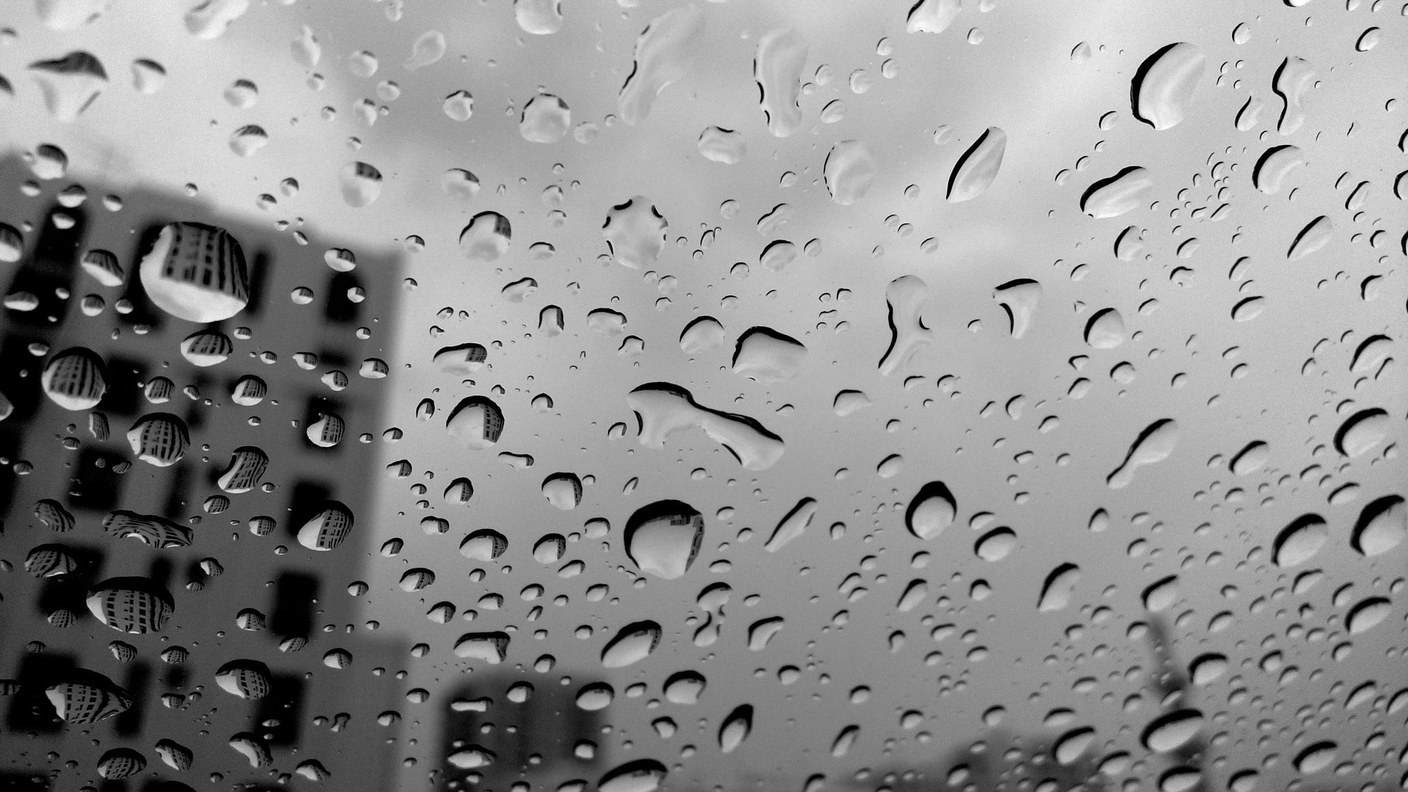 Nokia N9 sample photo. Raindrop reflection photography