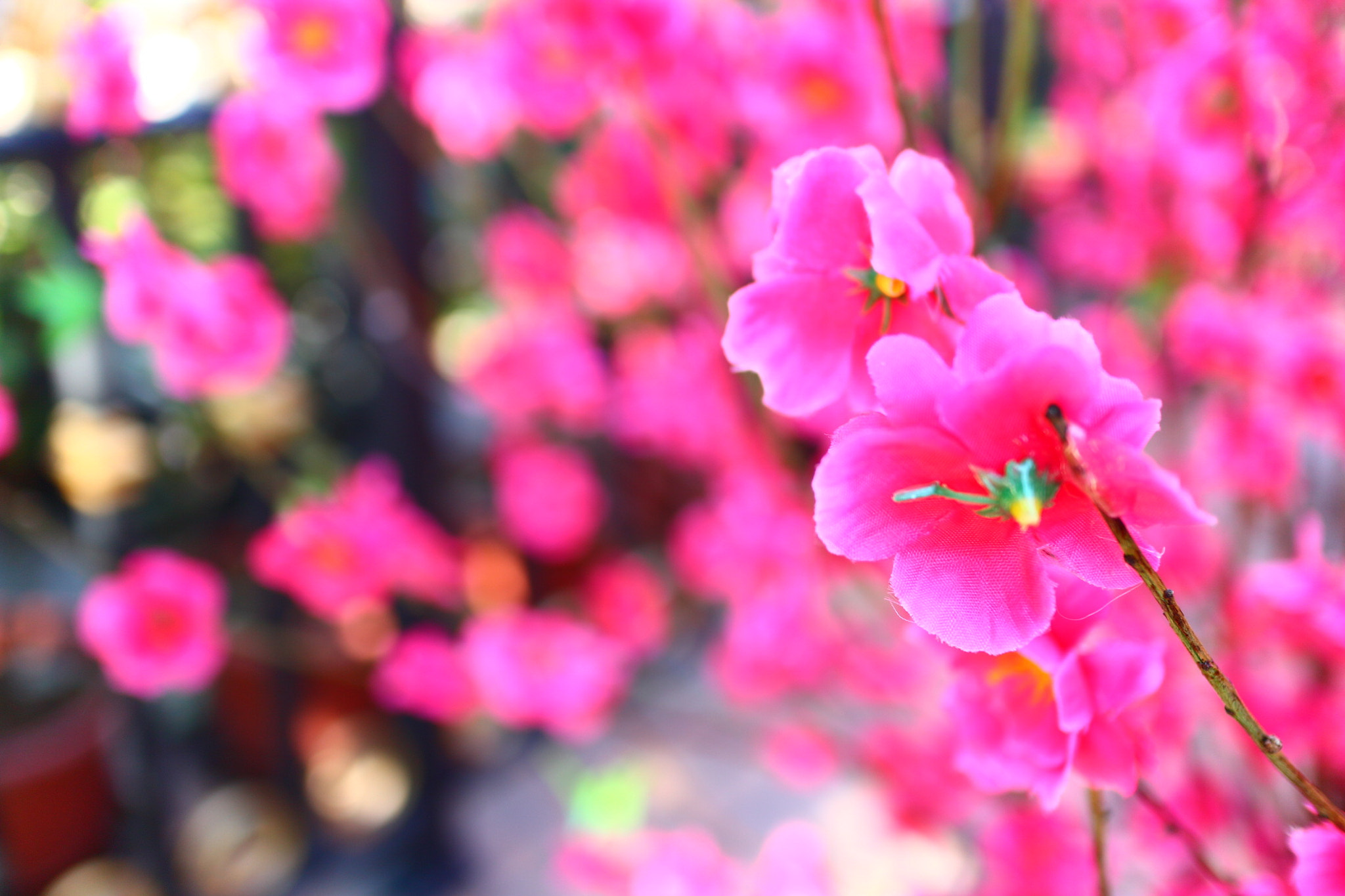Canon EOS M10 + Canon EF-M 22mm F2 STM sample photo. Spring photography