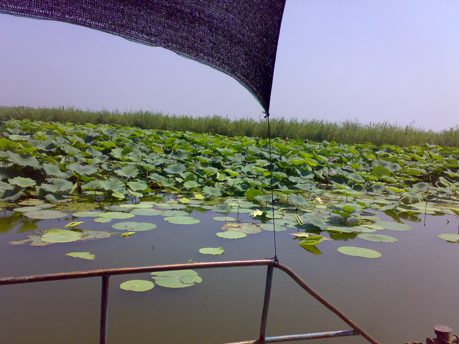 Nokia N73 sample photo. Weishan lake photography
