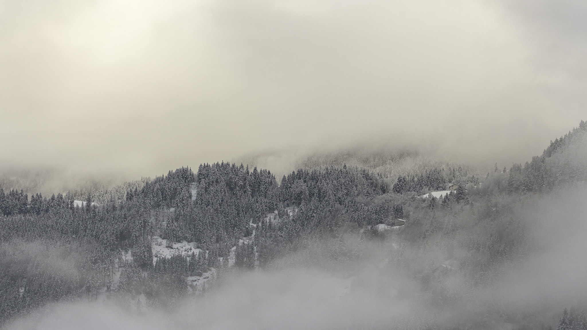 Sigma 105mm F2.8 EX DG OS HSM sample photo. " love this " photography