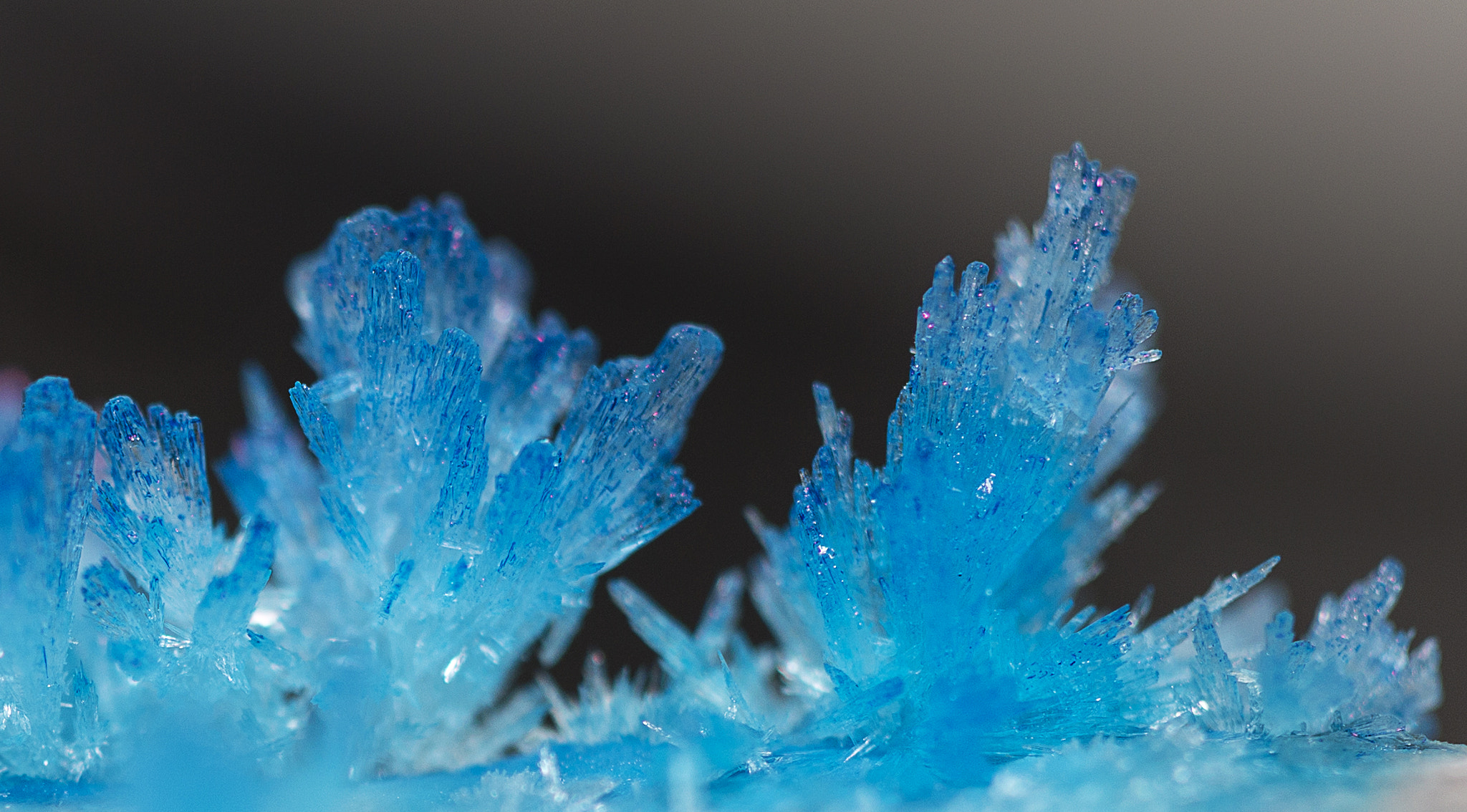 Canon EOS 6D + Canon EF 100mm F2.8 Macro USM sample photo. Blue crystal photography