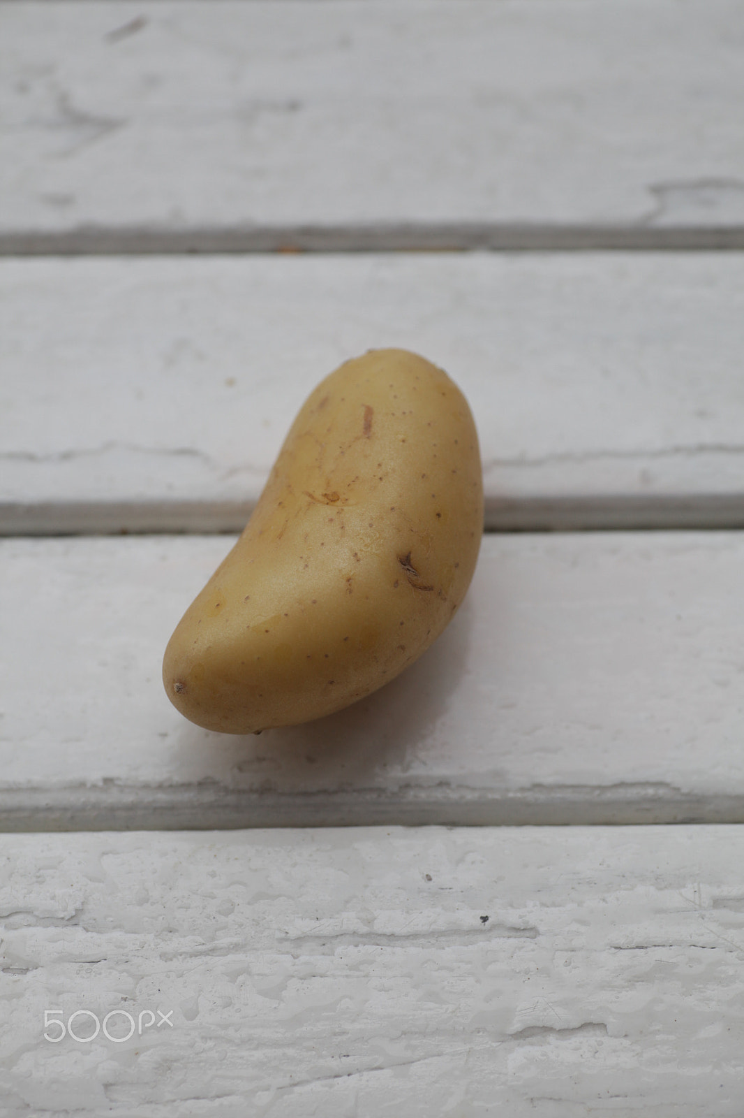 Canon EF 35-70mm f/3.5-4.5A sample photo. Lot of fresh potatoes photography