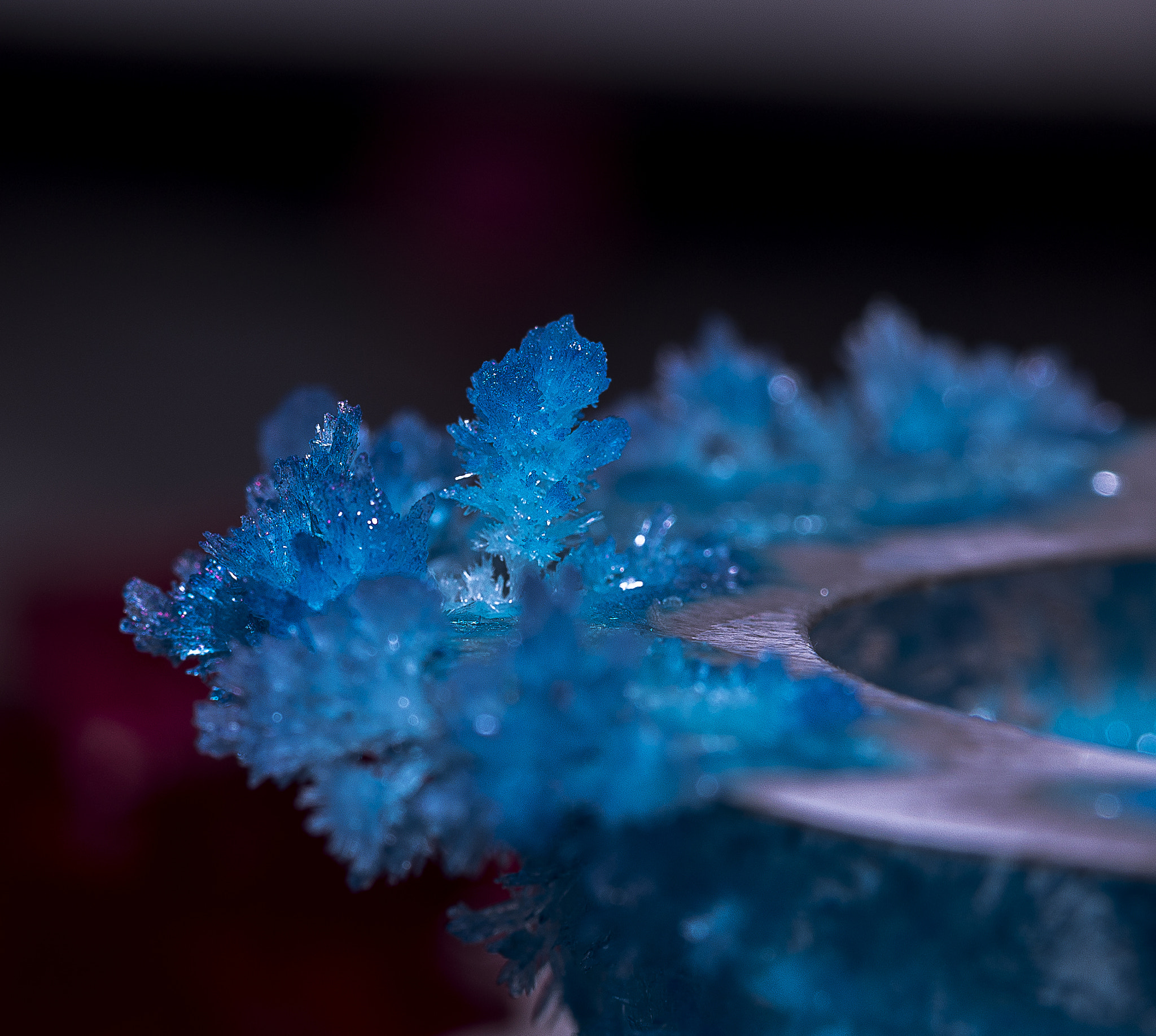 Canon EOS 6D + Canon EF 100mm F2.8 Macro USM sample photo. Crystal photography