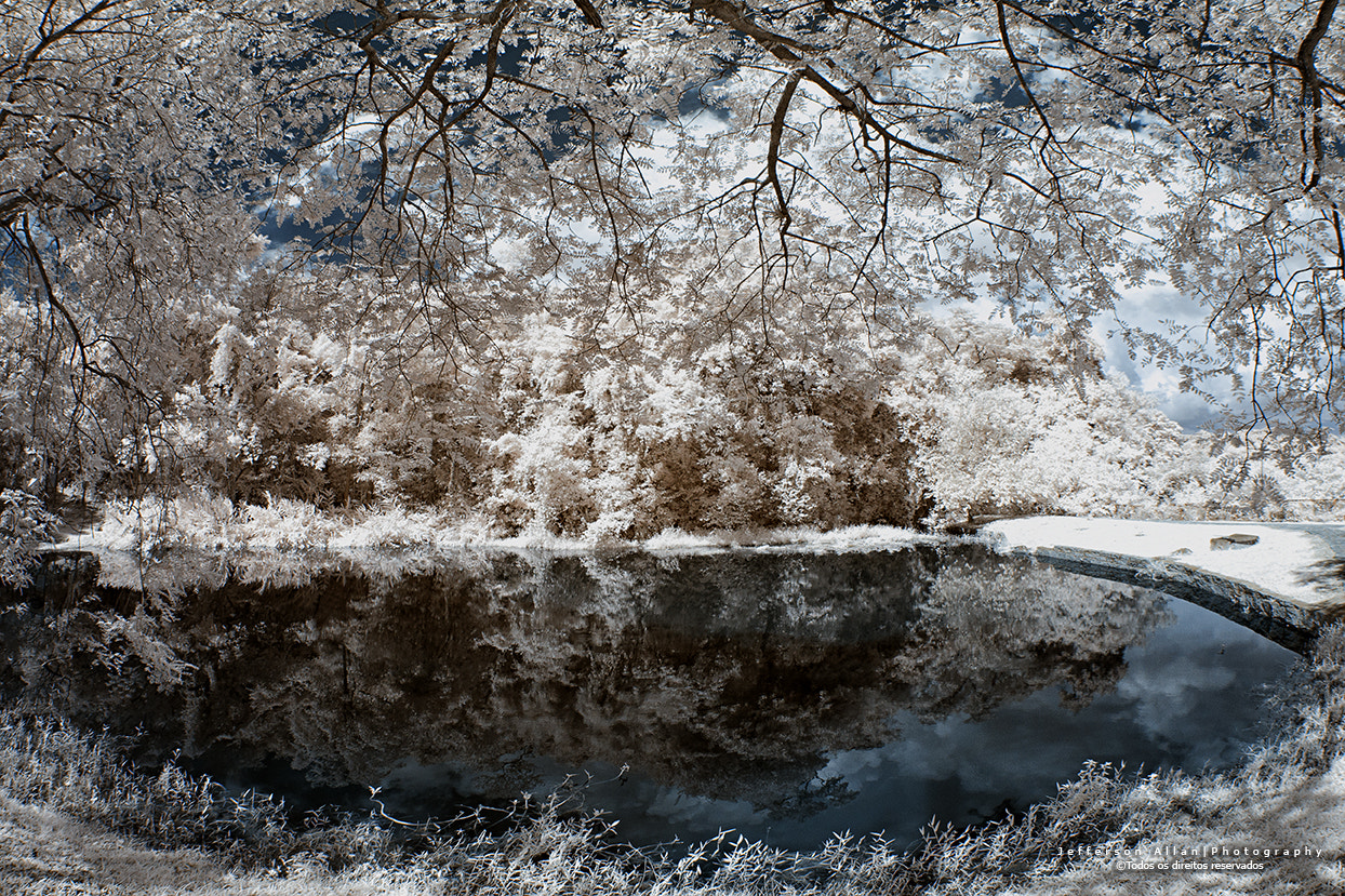 Canon EF 8-15mm F4L Fisheye USM sample photo. Infrared photography