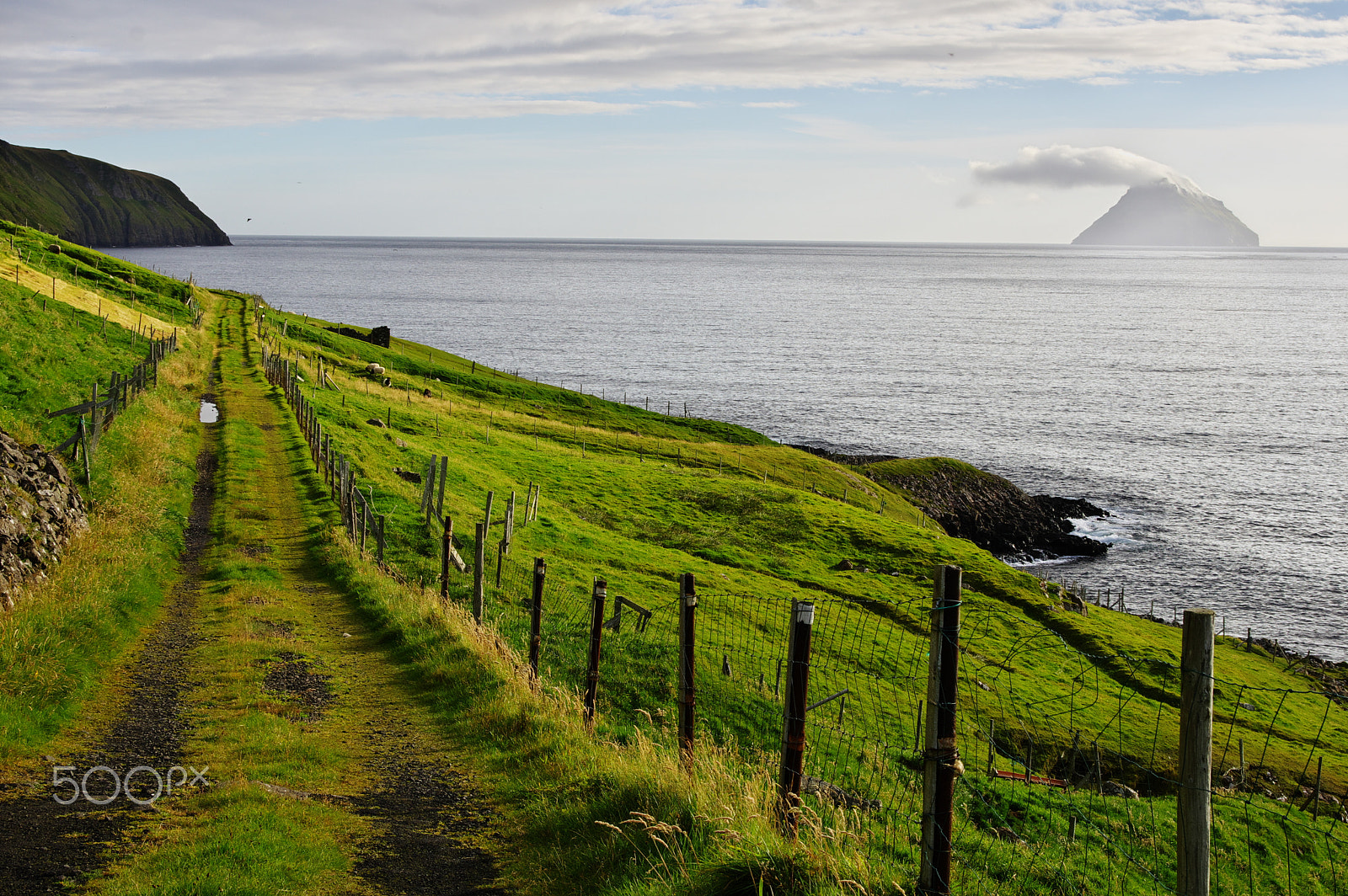 Pentax K-3 sample photo. Green path photography