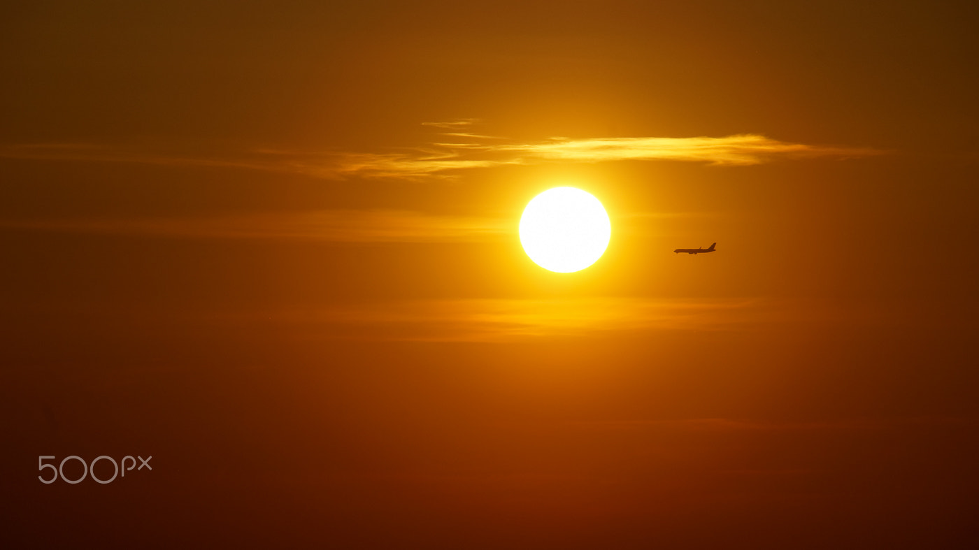 Sony SLT-A57 + DT 18-270mm F3.5-6.3 sample photo. Flight to the sun photography