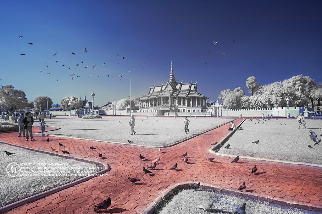 Nikon D70 sample photo. Royal palace! (ក្រុងភ្នំពេញ) photography