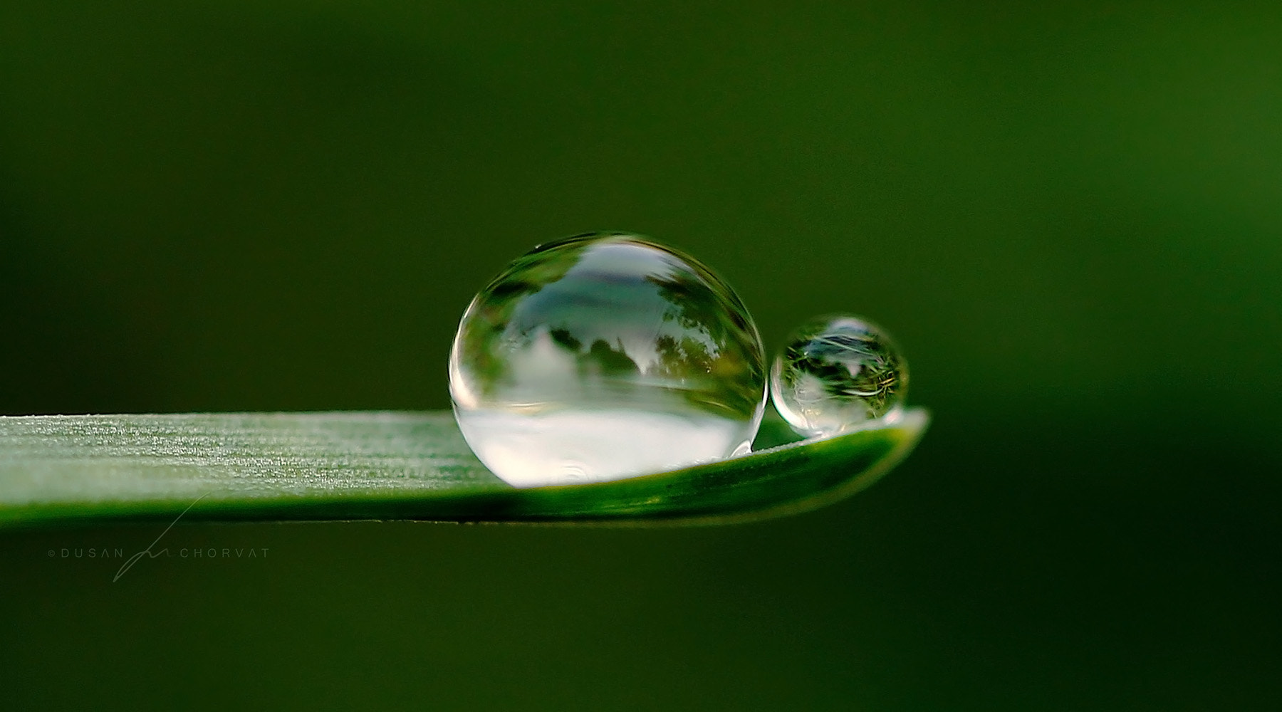 Canon EOS 6D + Canon EF 100mm F2.8 Macro USM sample photo. Droplet i. photography
