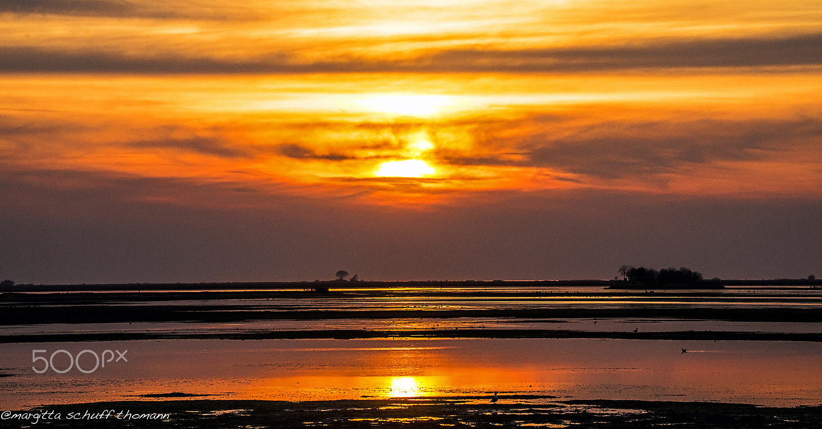 Tamron SP 150-600mm F5-6.3 Di VC USD sample photo. Sunset at the lagoon of grado, italy.. photography
