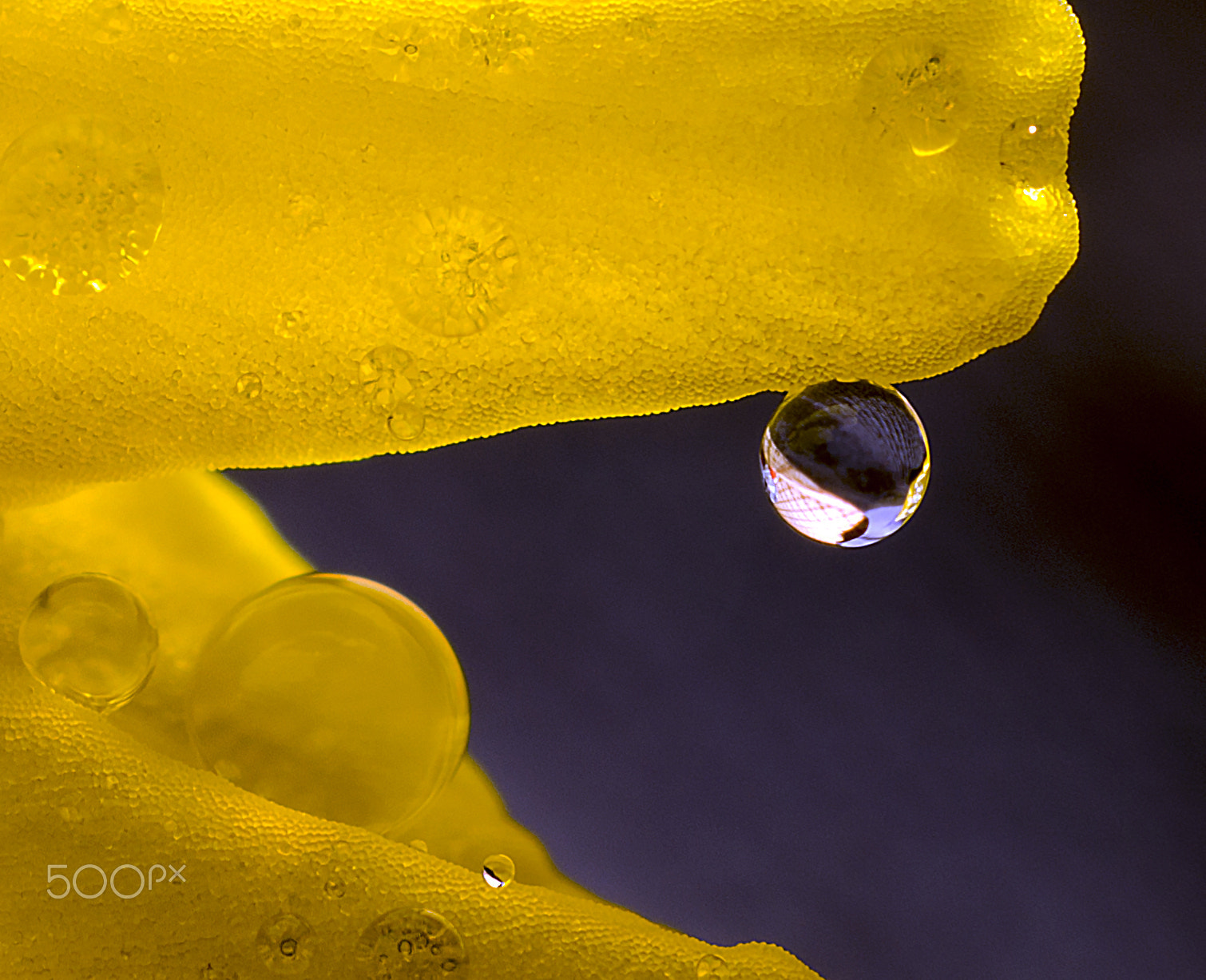 Sony SLT-A58 + Sony DT 30mm F2.8 Macro SAM sample photo. ...drop... photography