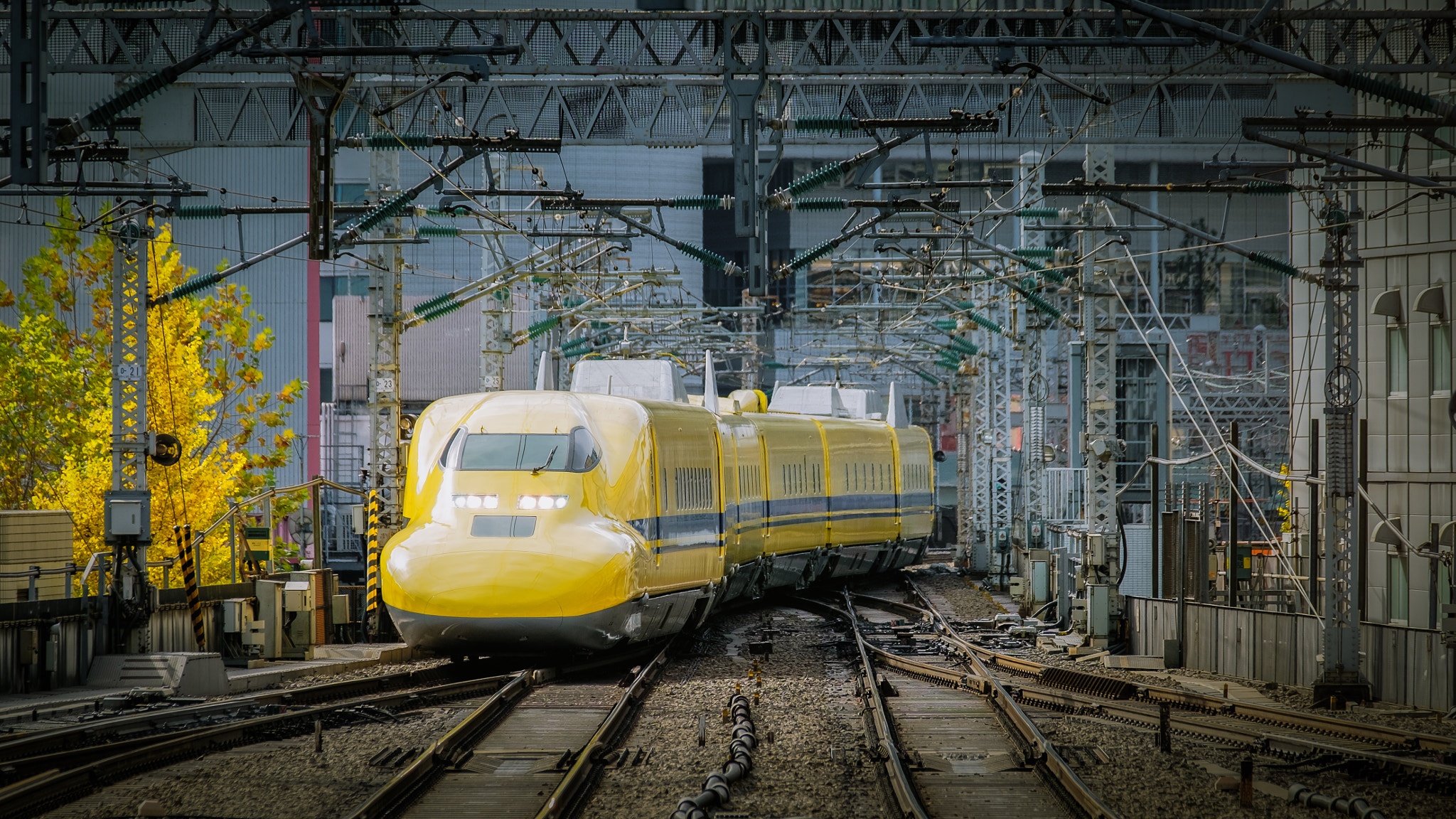 XF50-140mmF2.8 R LM OIS WR + 1.4x sample photo. Doctor yellow photography