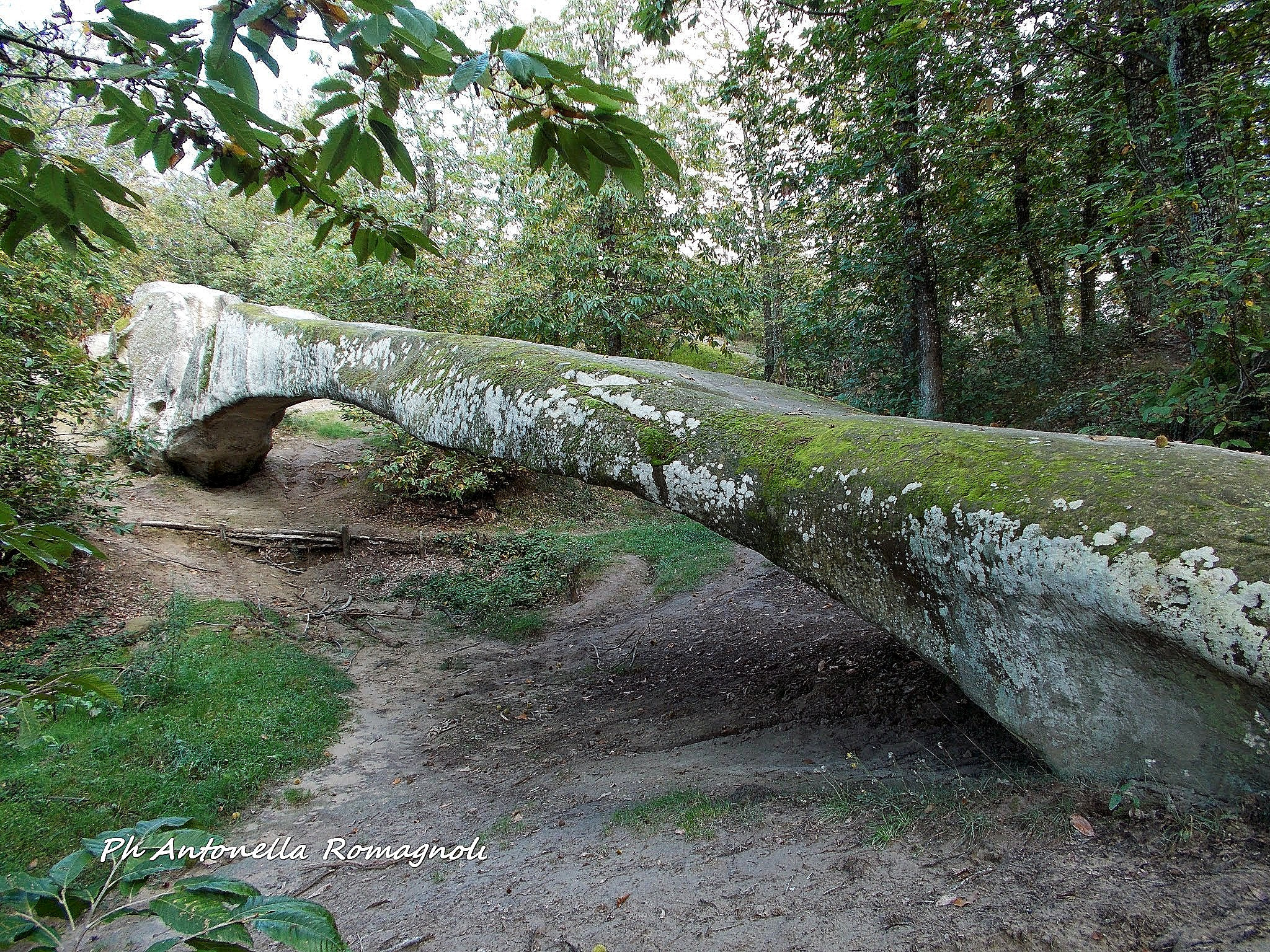 Nikon Coolpix L26 sample photo. Ponte ercole, detto del diavolo photography