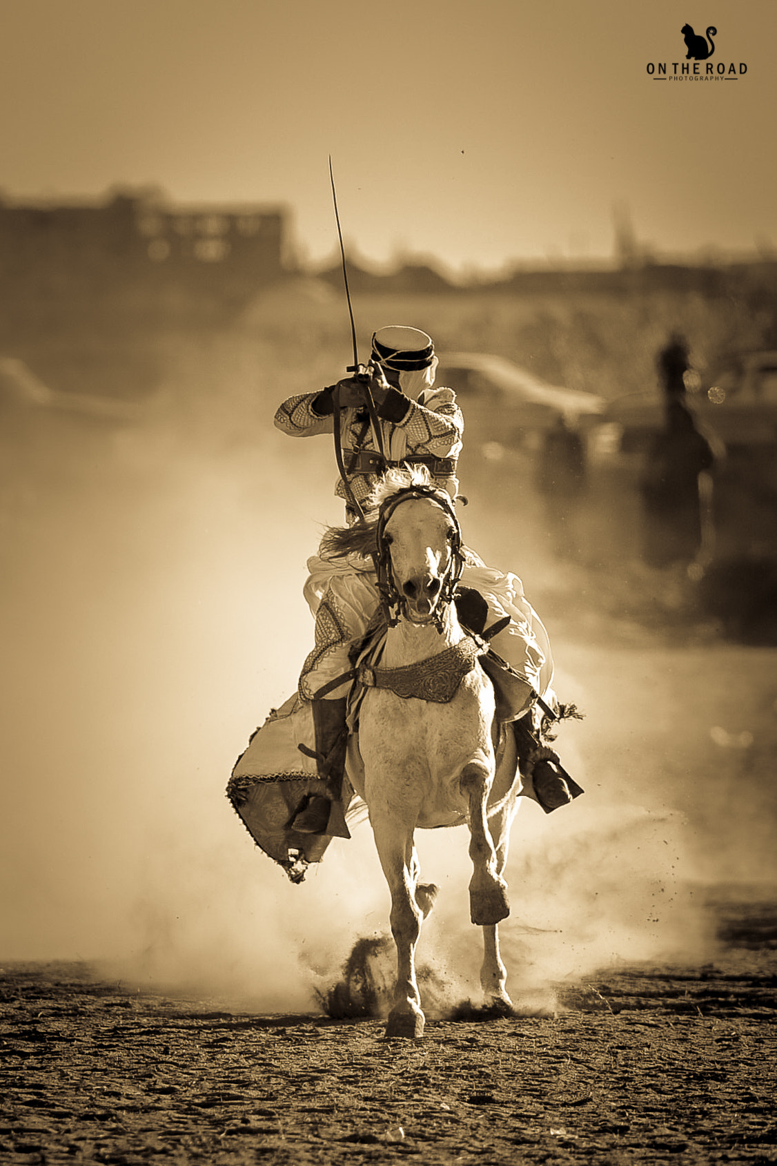 Nikon D800 + AF Nikkor 300mm f/4 IF-ED sample photo. A moment from the past photography