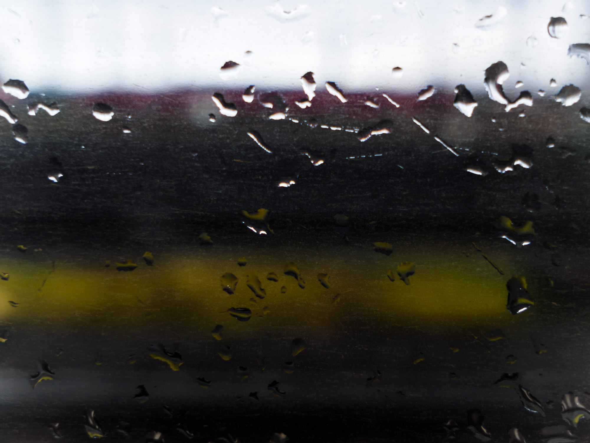 Olympus OM-D E-M1 + Sigma 19mm F2.8 DN Art sample photo. 69/365 - raindrops photography