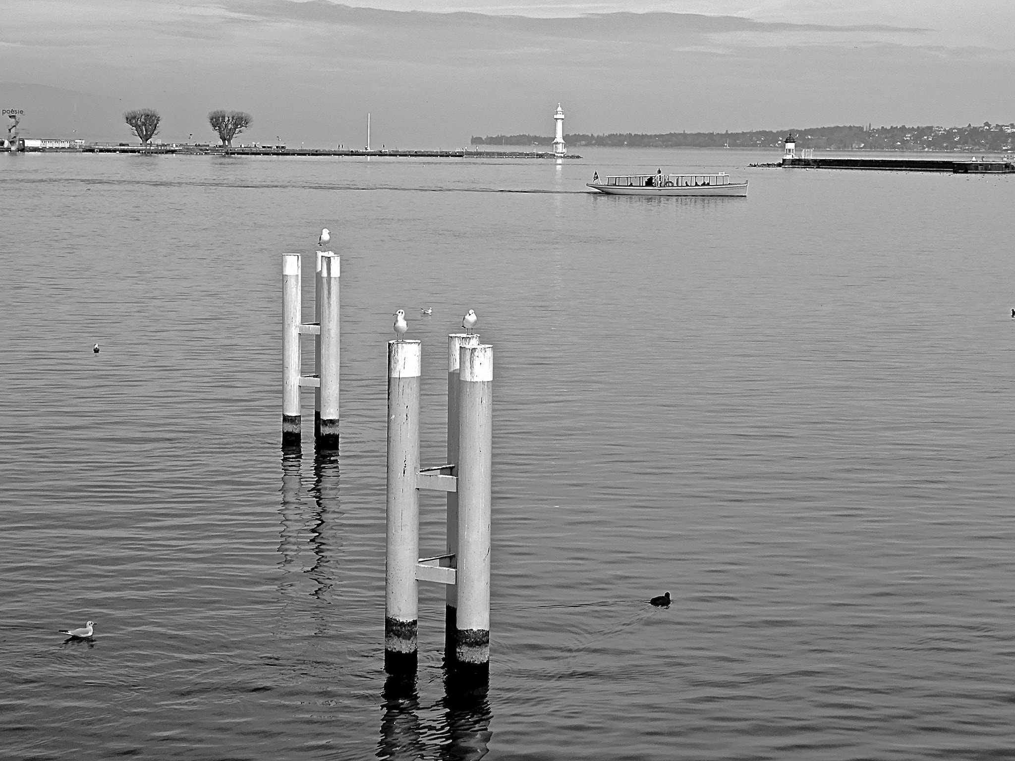 Sony 24-720mm F3.5-6.3 sample photo. Lake leman photography
