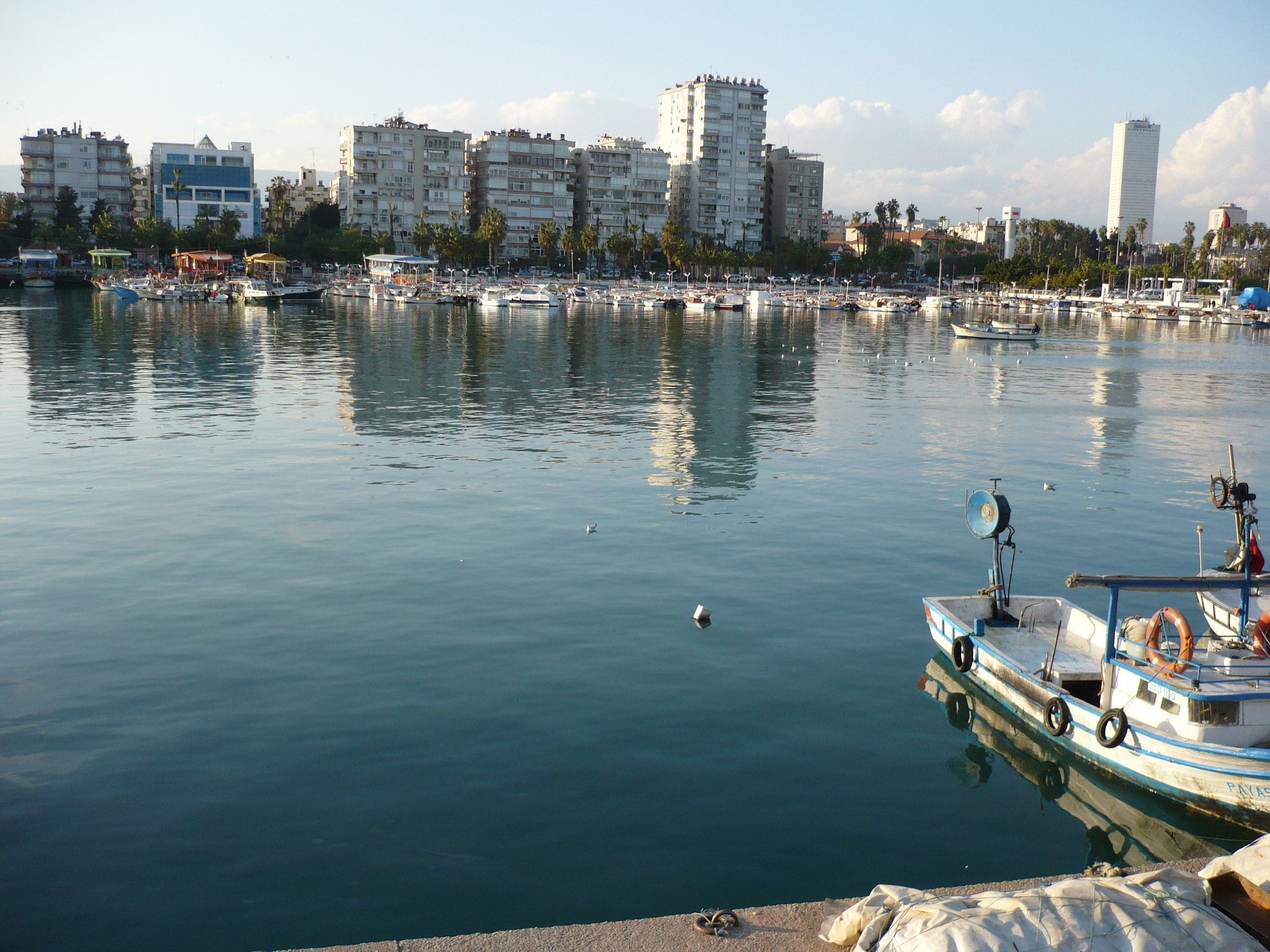 Panasonic DMC-LS70 sample photo. Copyright © muzaffer acet ® photography