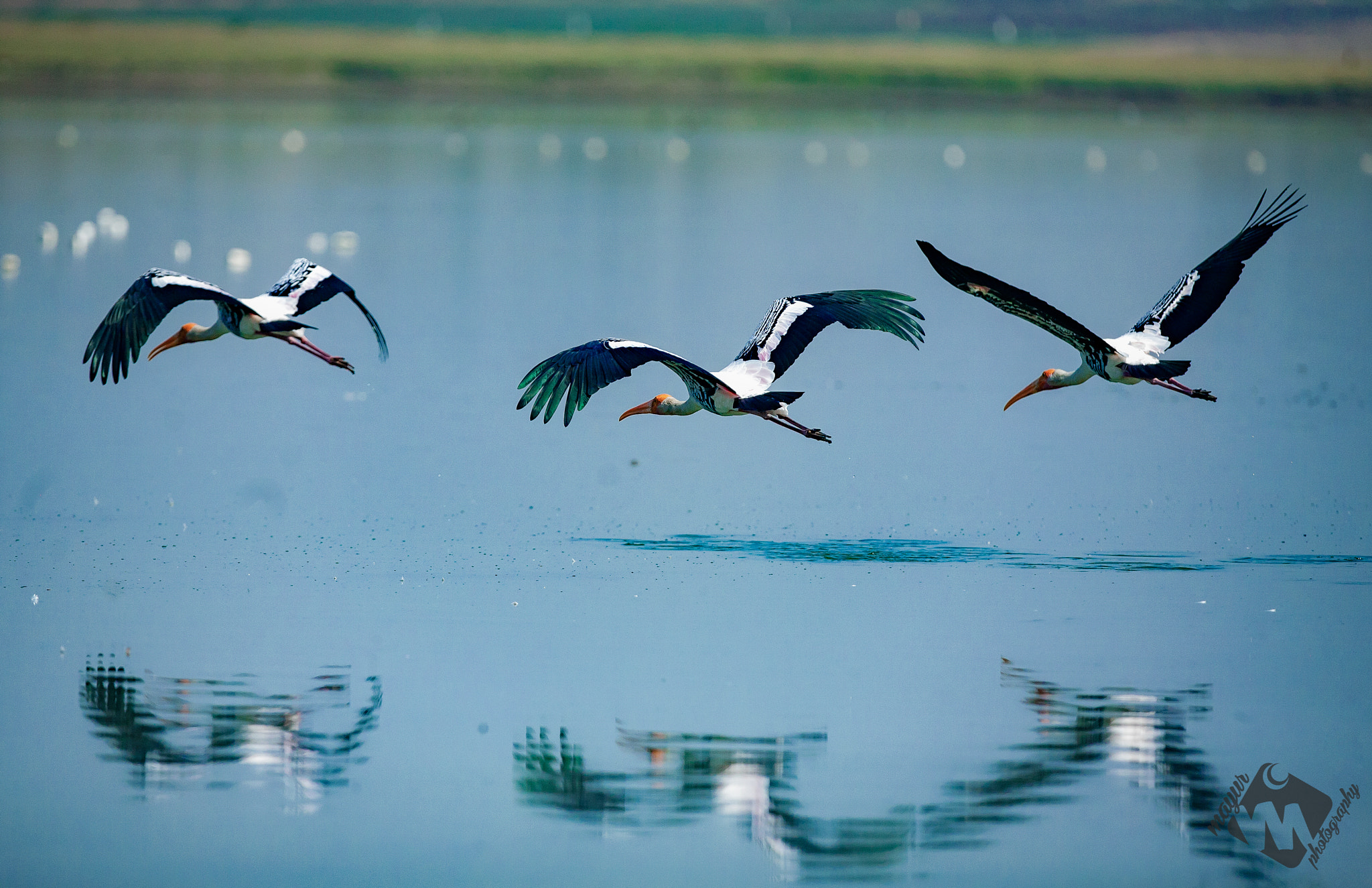 Canon EF 400mm F2.8L IS USM sample photo. Some don't have time to look in to reflections.. photography