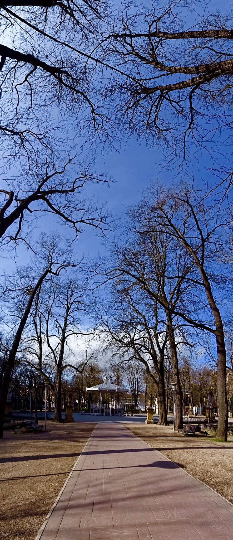 Sony 24-720mm F3.5-6.3 sample photo. Diferente-3- photography