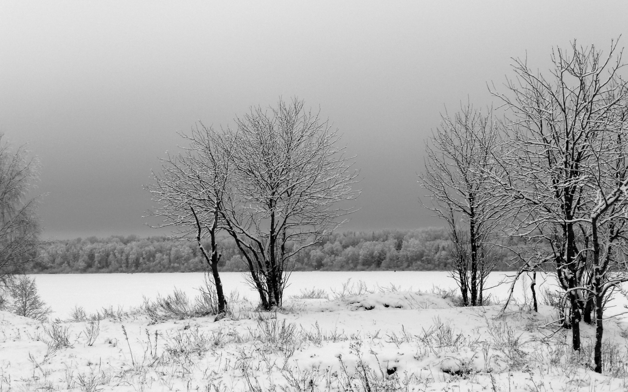 Panasonic DMC-TZ2 sample photo. Winter landscape. photography