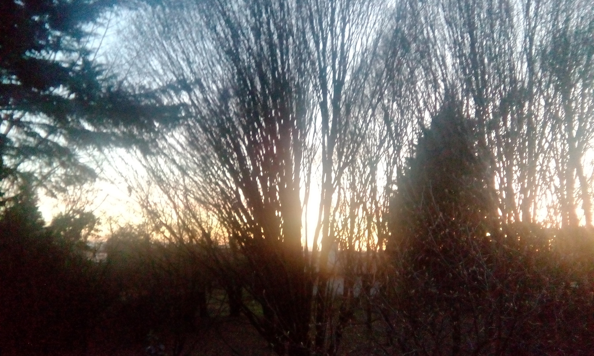 HTC DESIRE 526G+ DUAL SIM sample photo