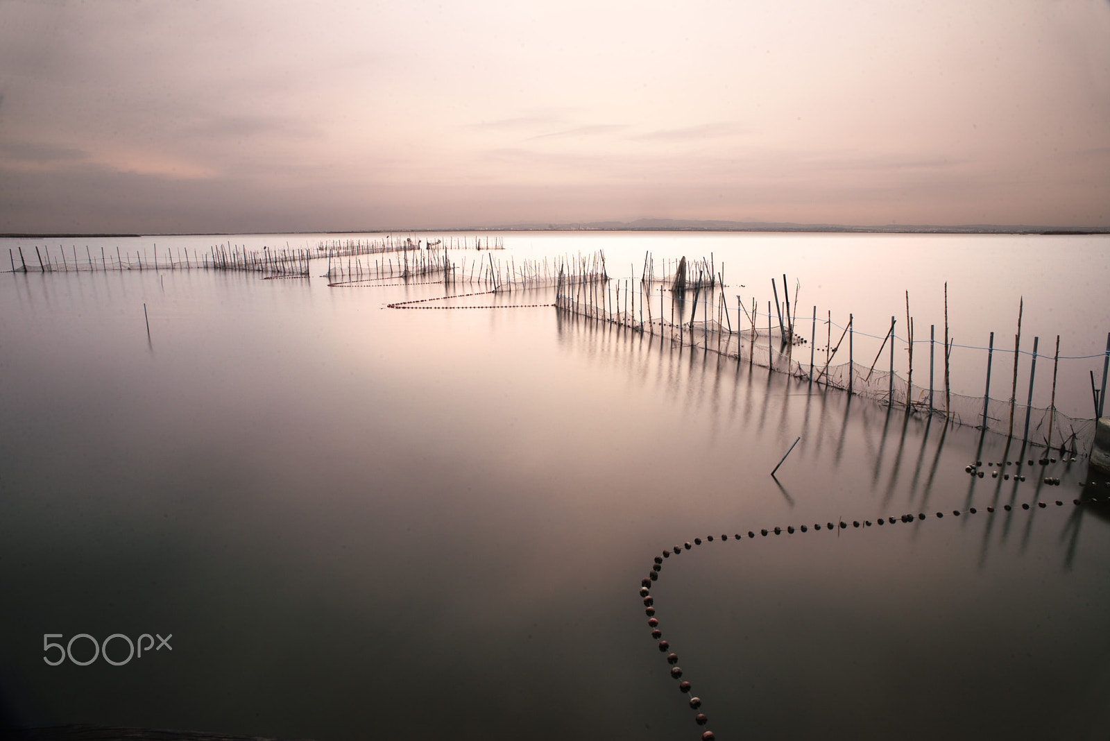 Nikon D600 + AF Nikkor 20mm f/2.8 sample photo. Albufera photography