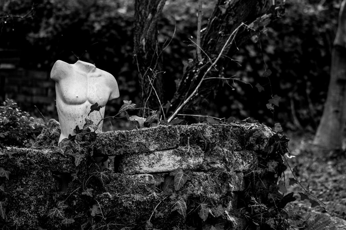Canon EF-S 55-250mm F4-5.6 IS STM sample photo. Statue photography