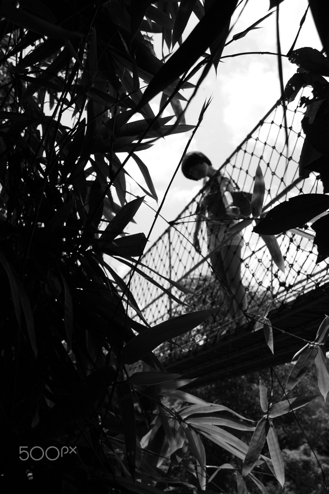 Canon EOS 400D (EOS Digital Rebel XTi / EOS Kiss Digital X) sample photo. Beauty on bridge photography