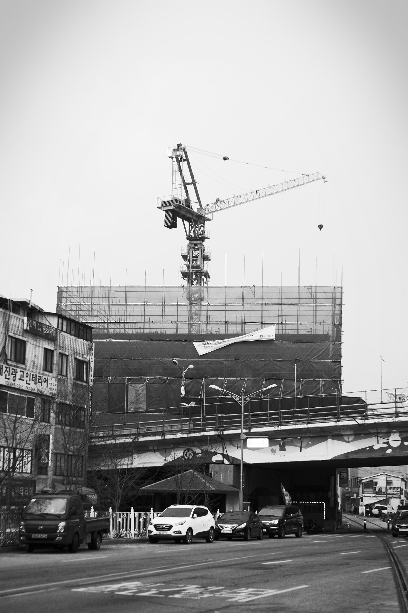 Canon EF 28-135mm F3.5-5.6 IS USM sample photo. Crane photography
