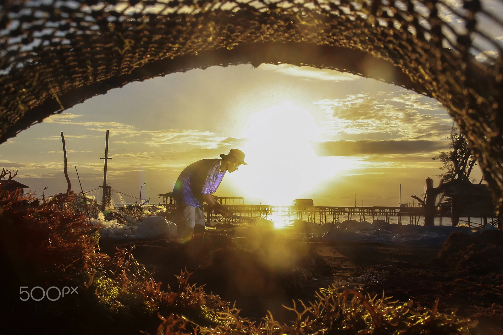 Canon EOS 50D + Canon EF 24mm F1.4L II USM sample photo. Seaweed farmers photography