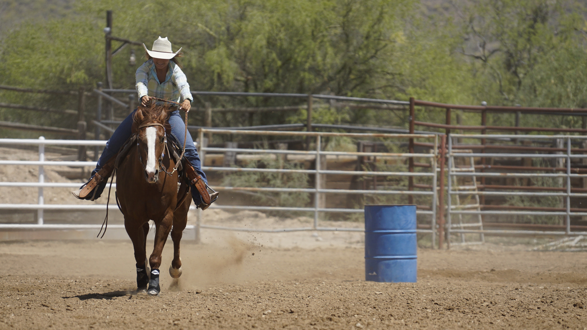 Sony a6000 + Sony FE 70-200mm F4 G OSS sample photo. Down the stretch photography