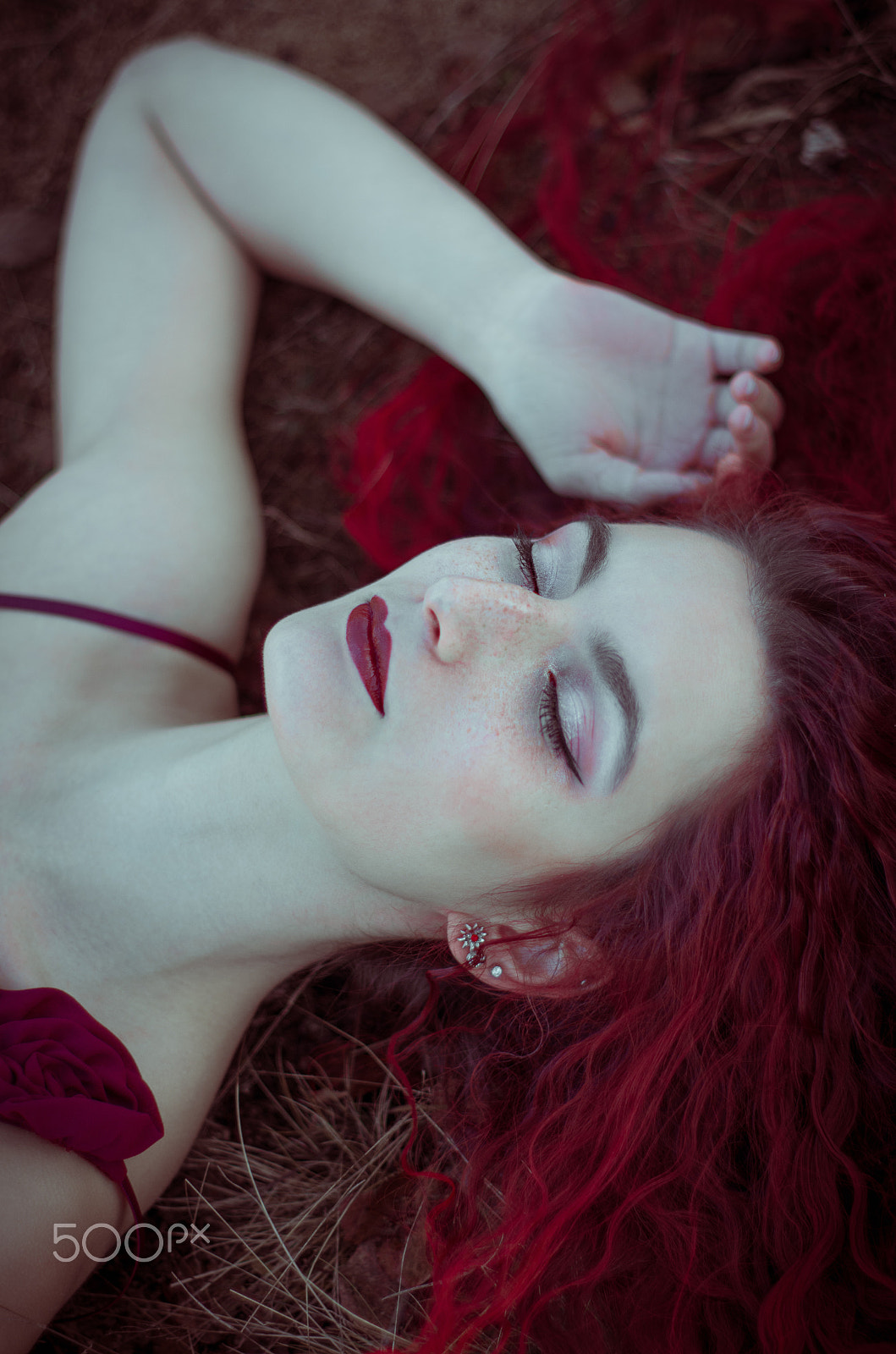 Pentax K-5 II + Pentax smc FA 50mm F1.4 sample photo. The sleeping beauty. photography