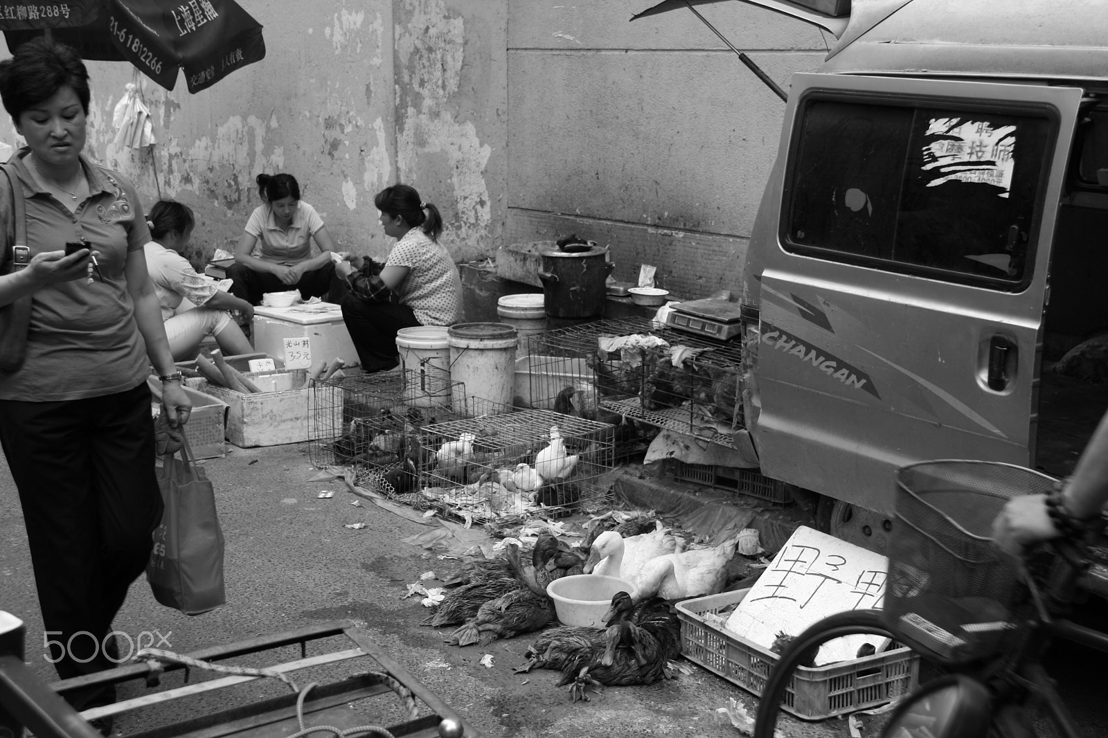 Canon EOS 400D (EOS Digital Rebel XTi / EOS Kiss Digital X) sample photo. Shanghai normal life photography