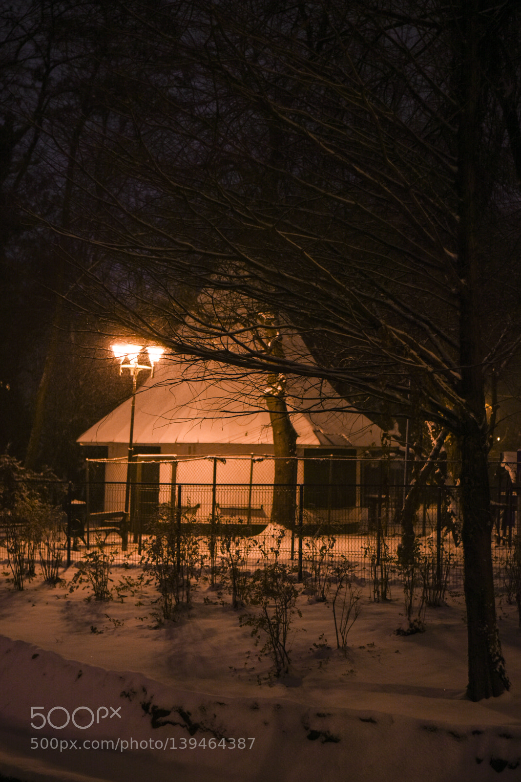 Nikon D7200 sample photo. Untitled photography
