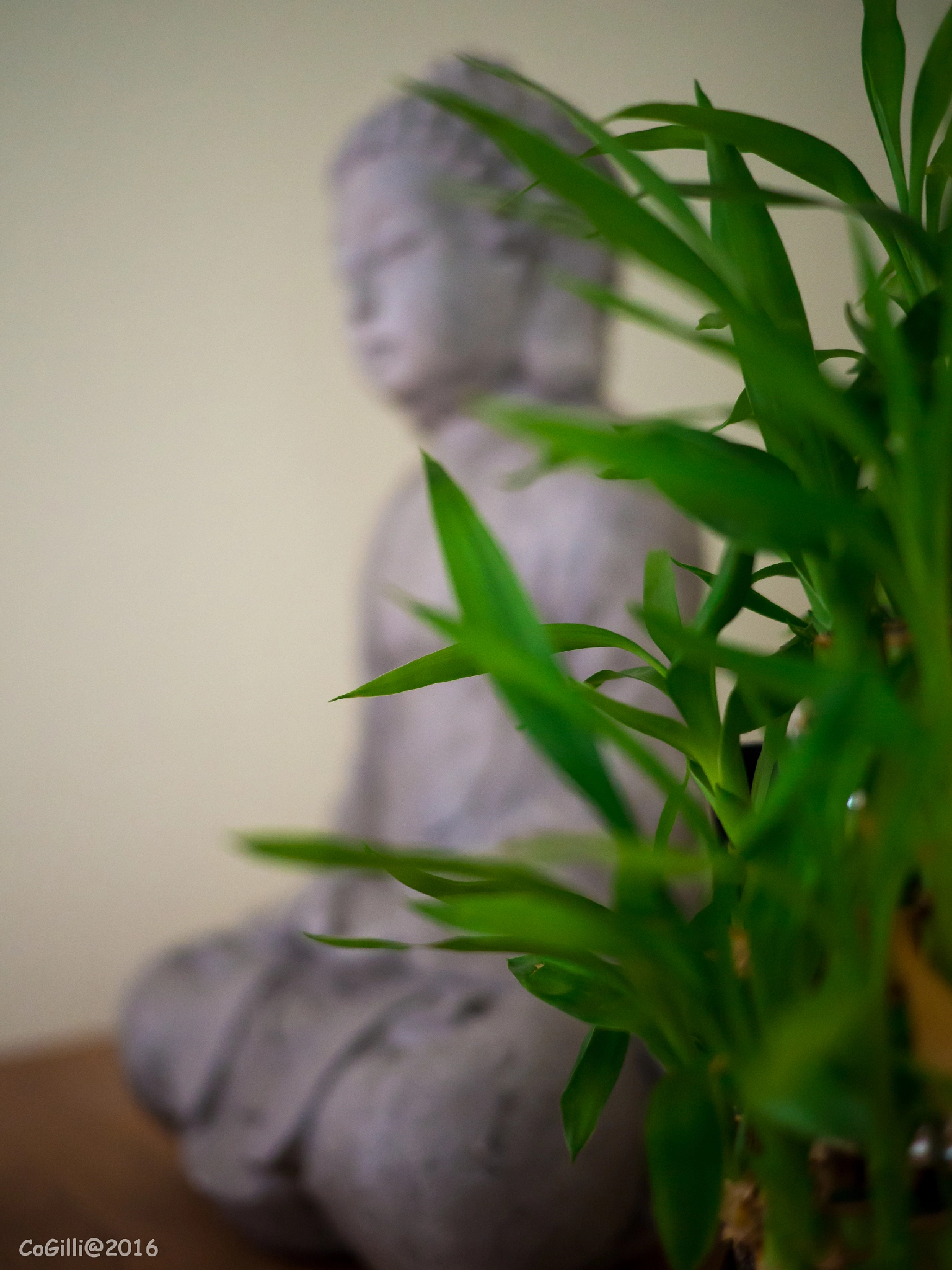 Olympus OM-D E-M10 + LUMIX G 20/F1.7 II sample photo. Zen photography