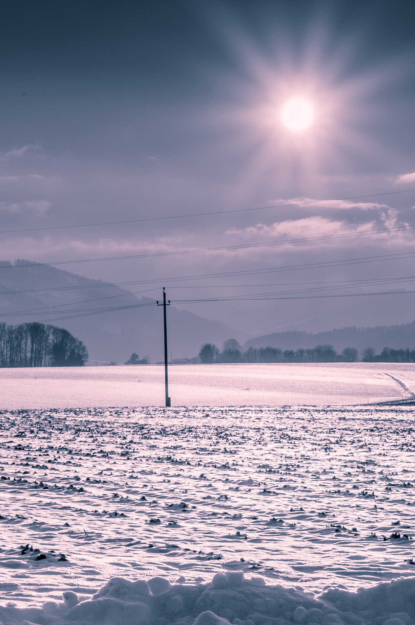 Sigma 17-70mm F2.8-4 DC Macro OS HSM | C sample photo. Winterlandschaft ohlsdorf photography