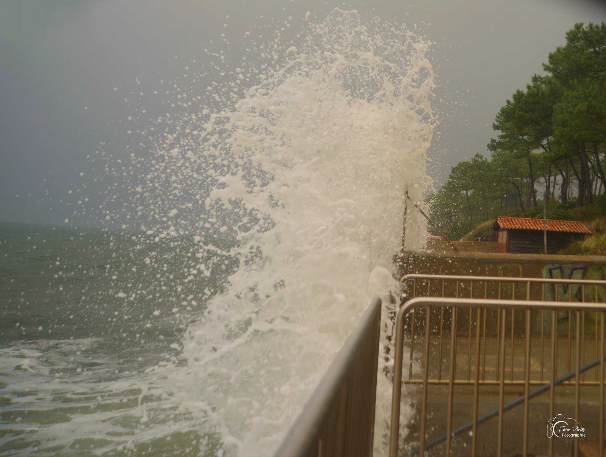 AF Zoom-Nikkor 24-120mm f/3.5-5.6D IF sample photo. La vague photography