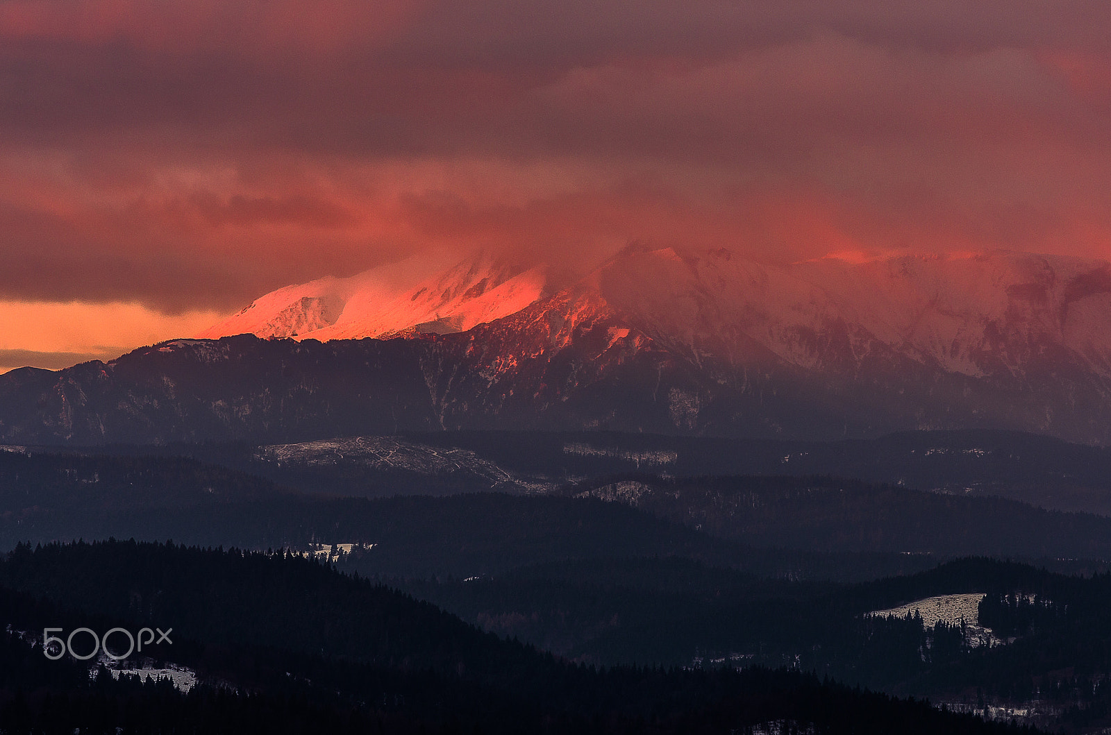 Pentax K-5 II + Sigma sample photo. Red-hot photography