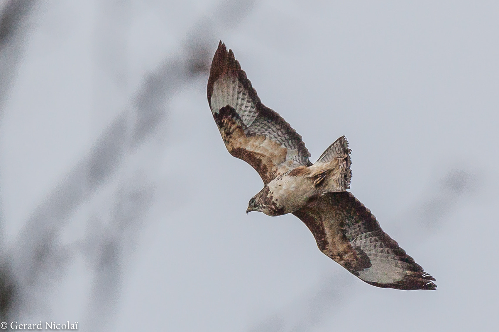Canon EF 300mm F2.8L IS USM sample photo. Passer-by photography