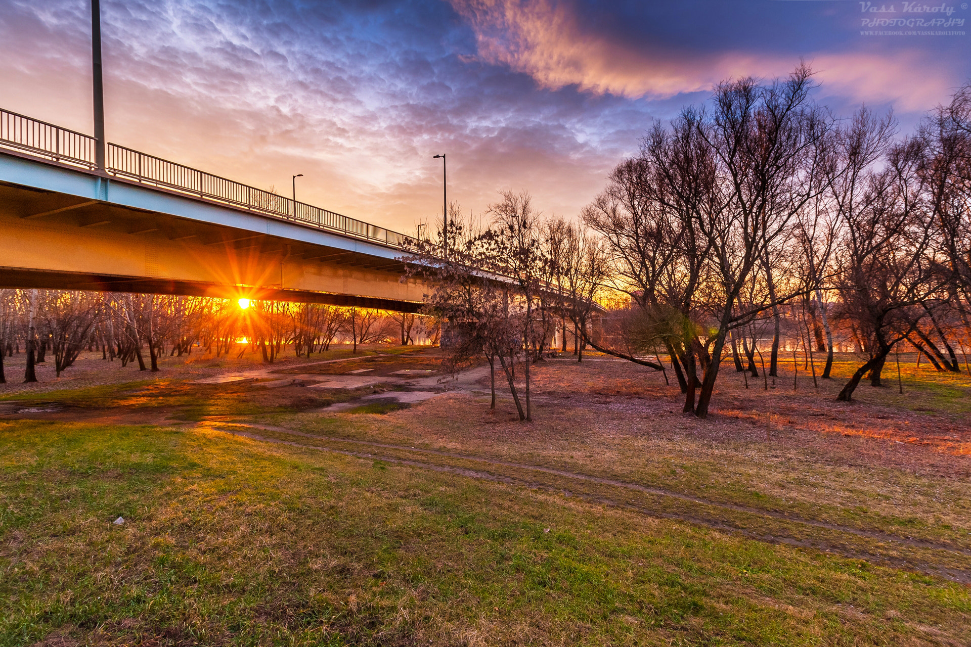 Canon EF-S 10-18mm F4.5–5.6 IS STM sample photo. Sunburst photography