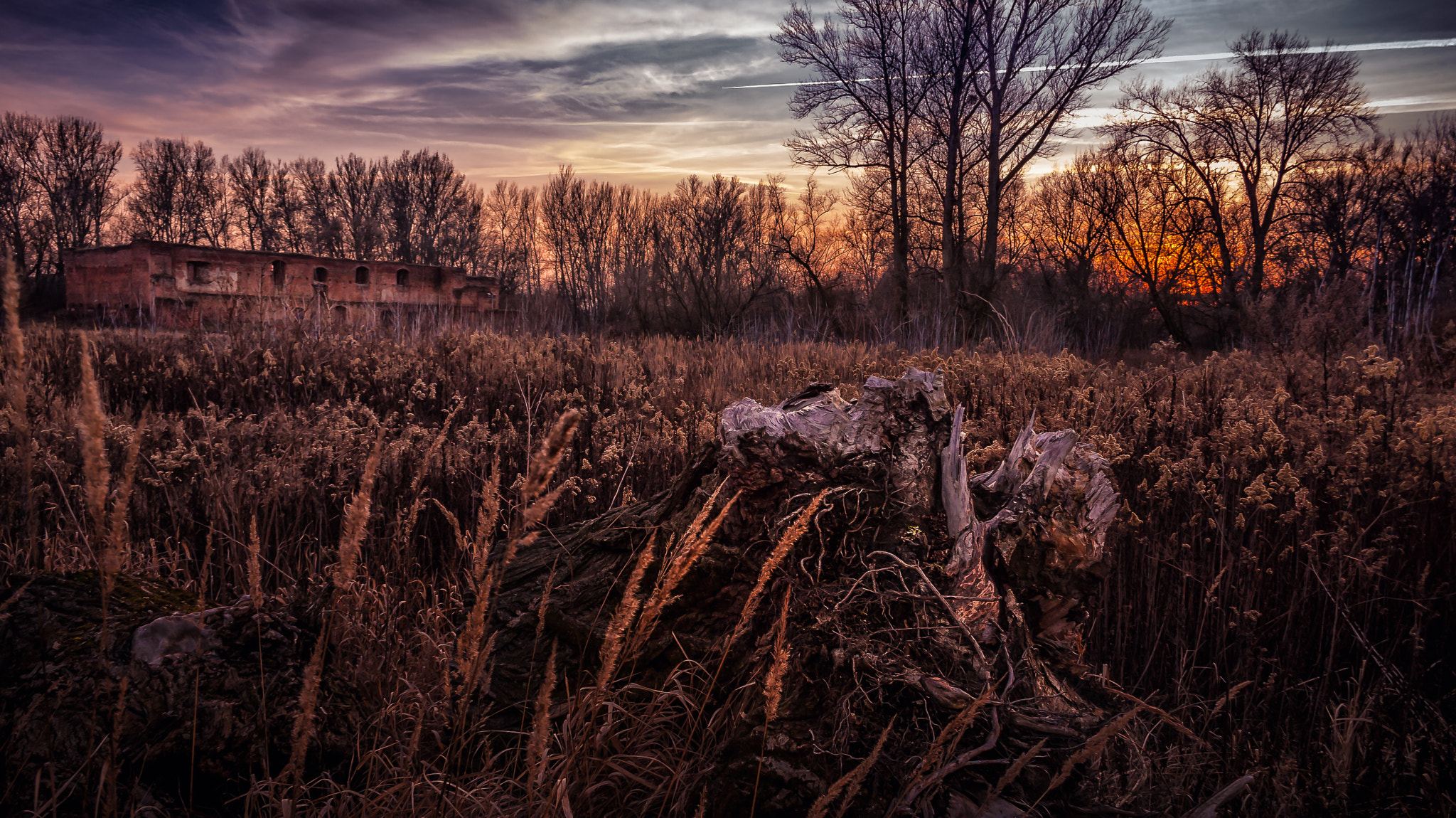 Canon EF-S 18-55mm F3.5-5.6 sample photo. Dybowski castle 2 photography